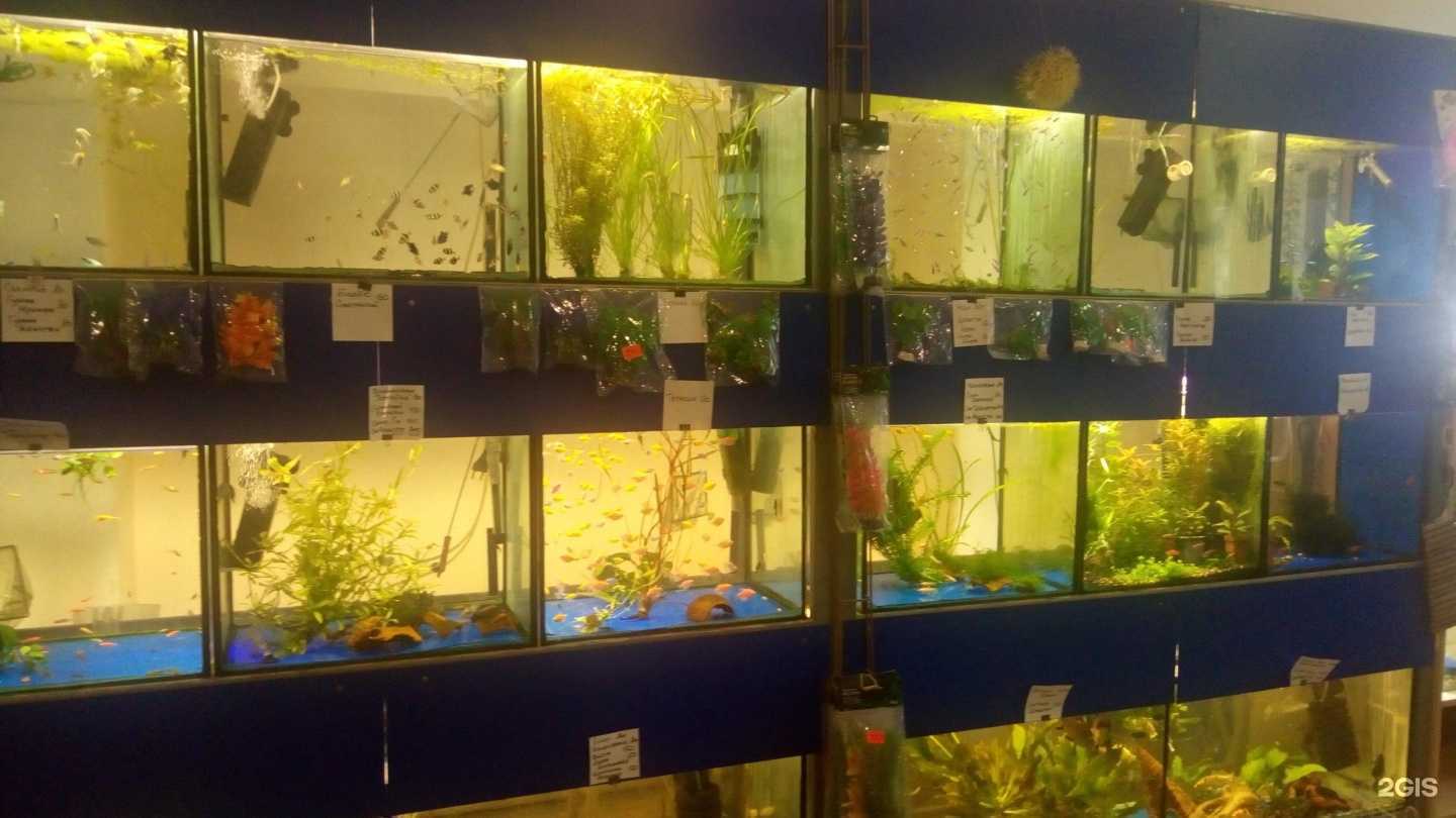 Отзывы на компанию Природа в г. Нальчик c фото