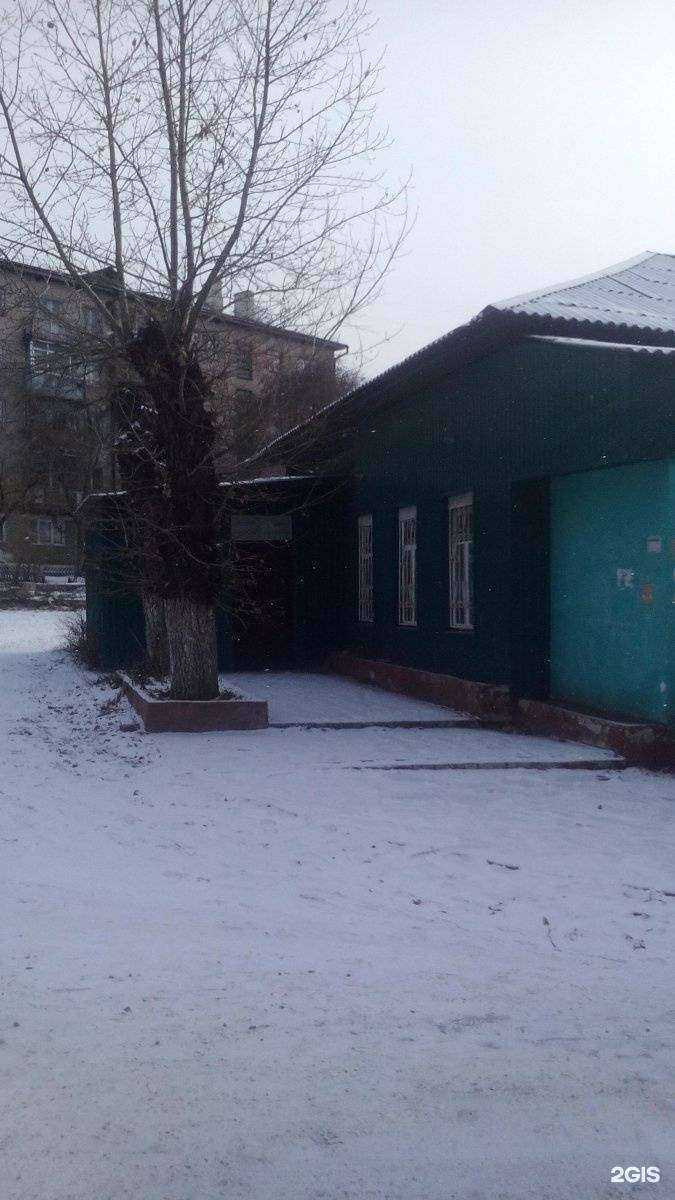 Отзывы на компанию Зоомир в Чите c фото - фотография 2 из 2