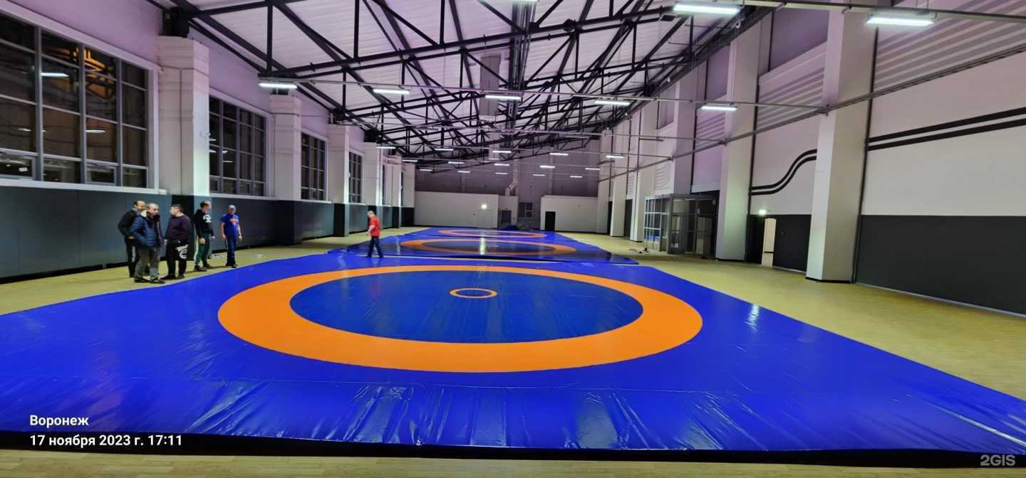 Отзывы на компанию Дворец спорта имени Василия Меркулова в Воронеже c фото