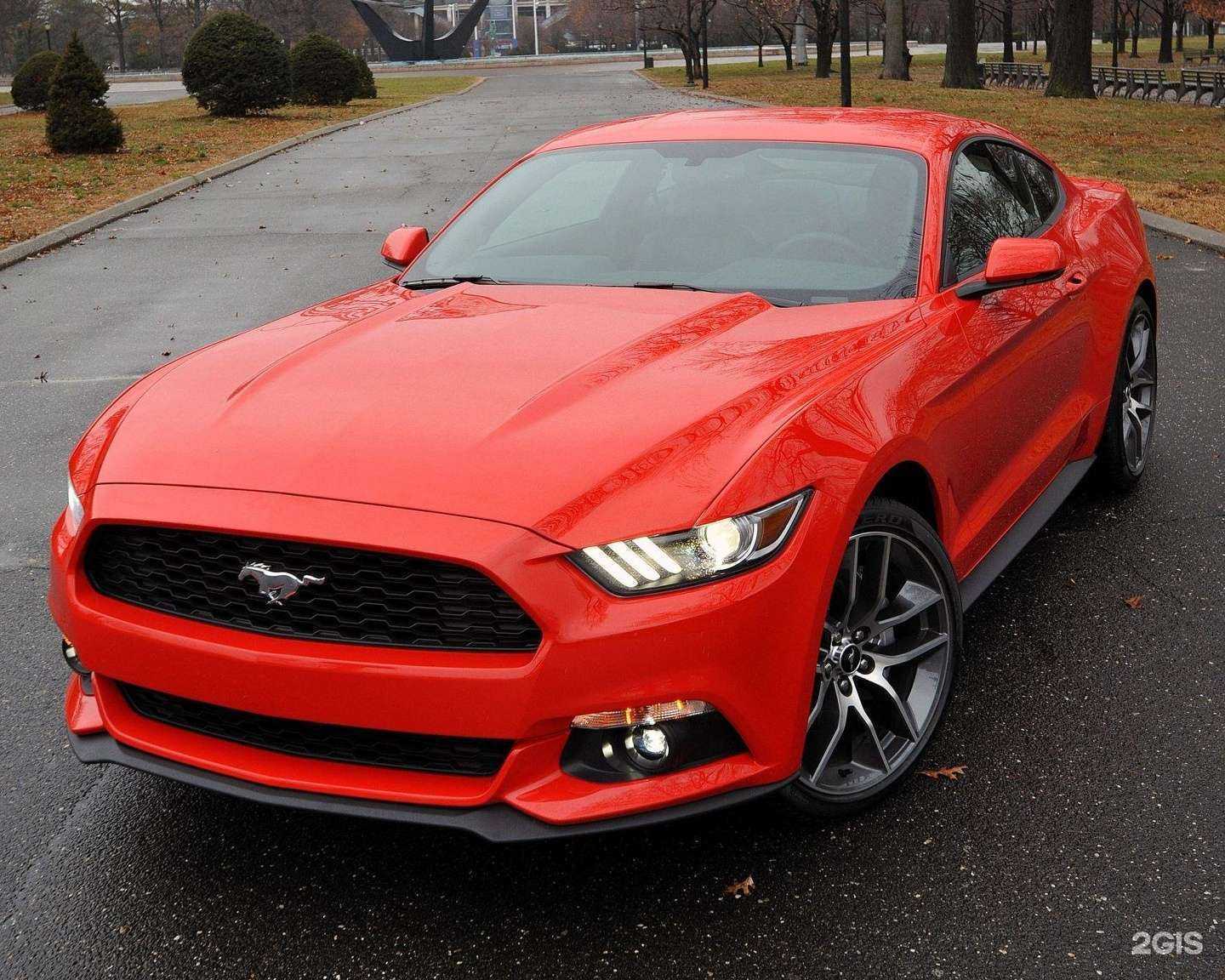 Отзывы на компанию CaRental.ru  в Сочи c фото