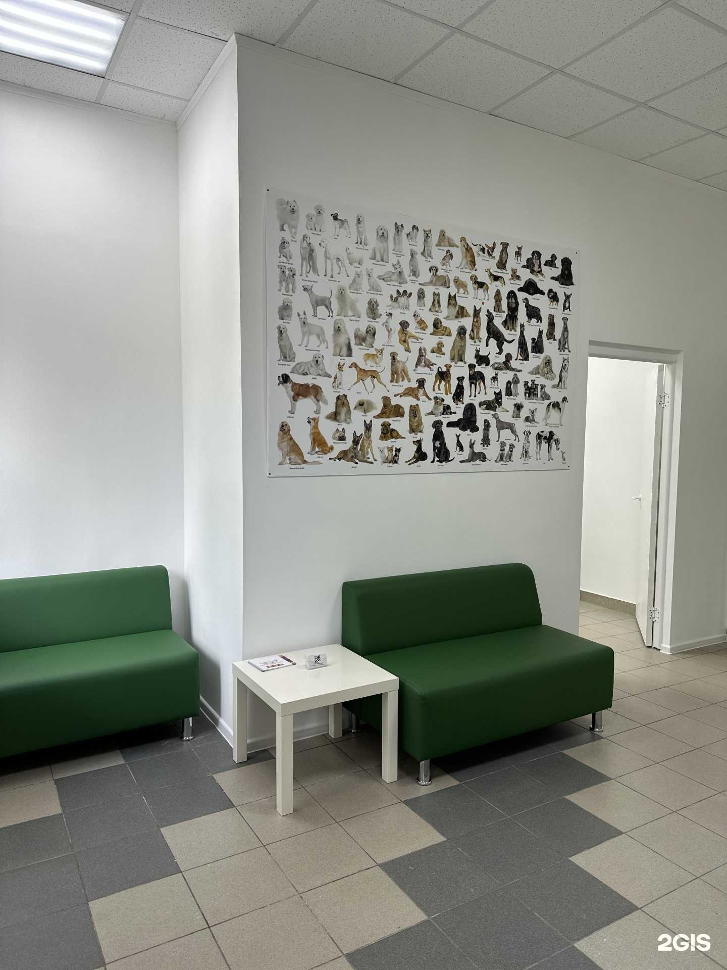 Отзывы на компанию OkDog в г. Воронеж c фото