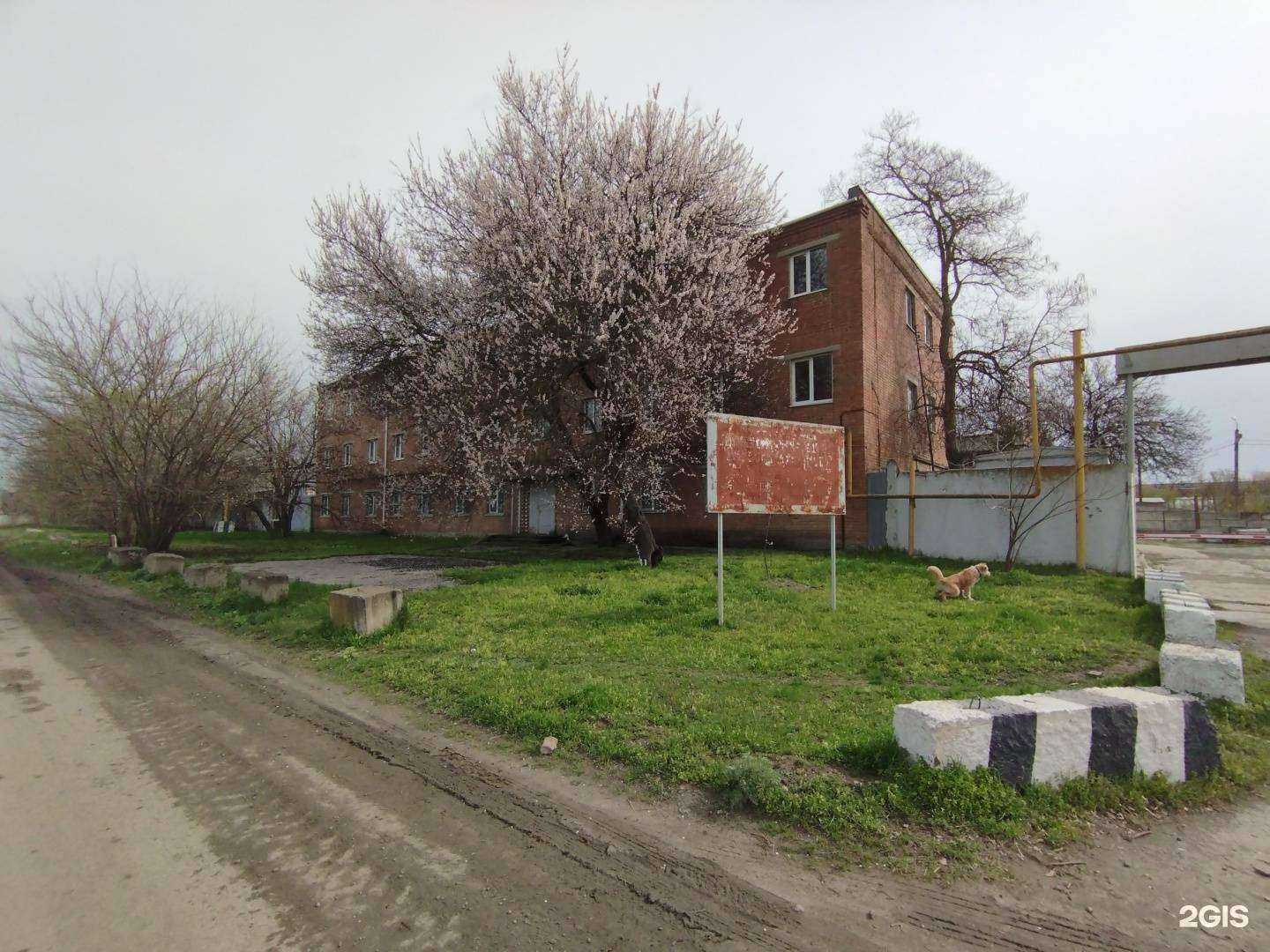 Отзывы на компанию Бетонный завод в г. Ростов-на-Дону c фото