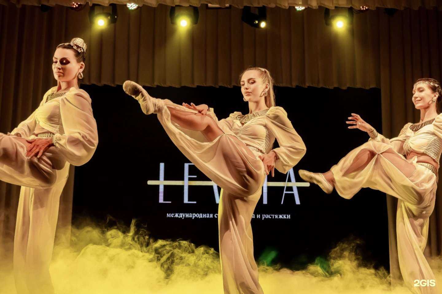 Отзывы на компанию Levita в Владивостоке c фото