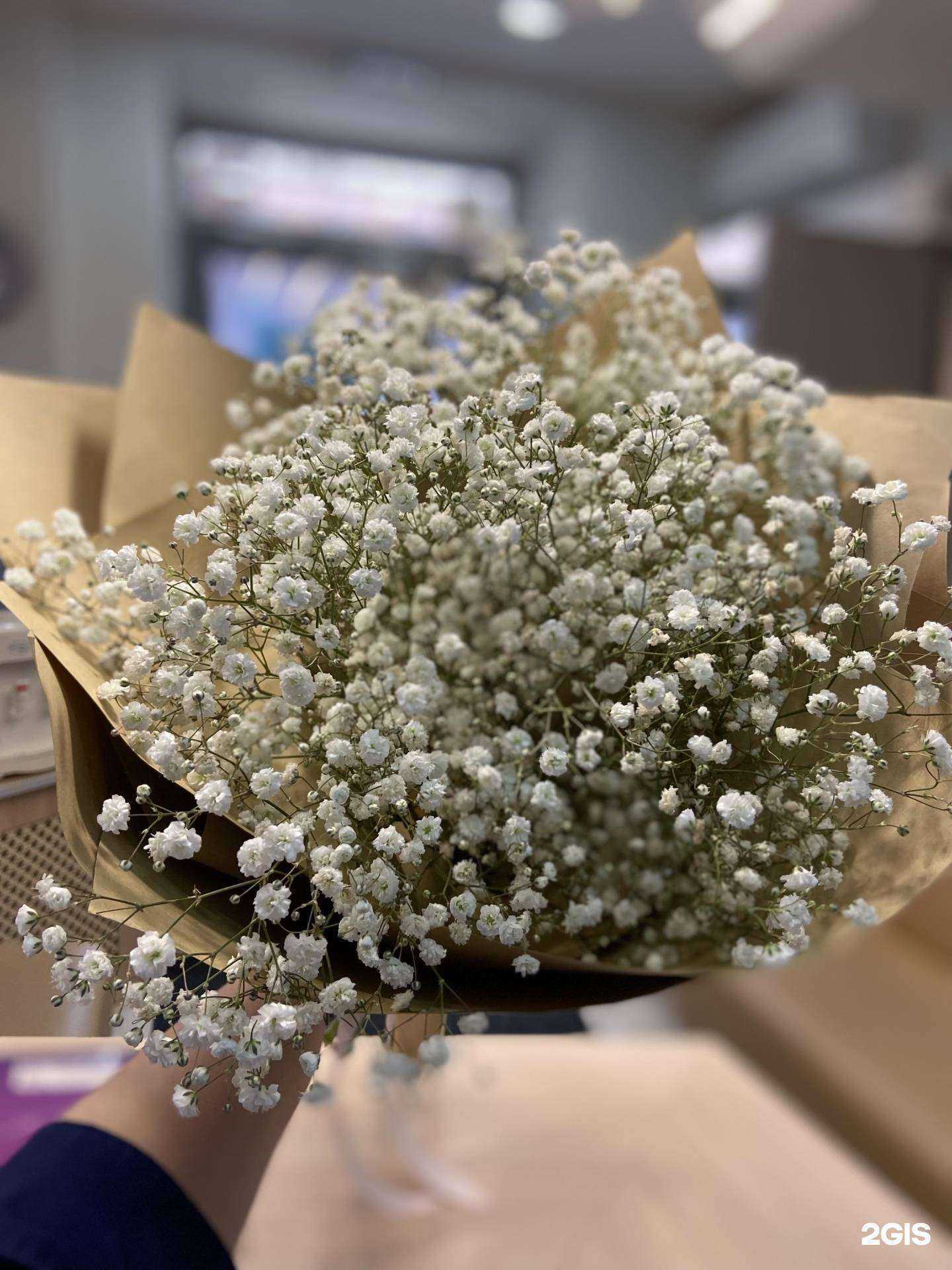 Отзывы на компанию Стена Роза в г. Челябинск c фото