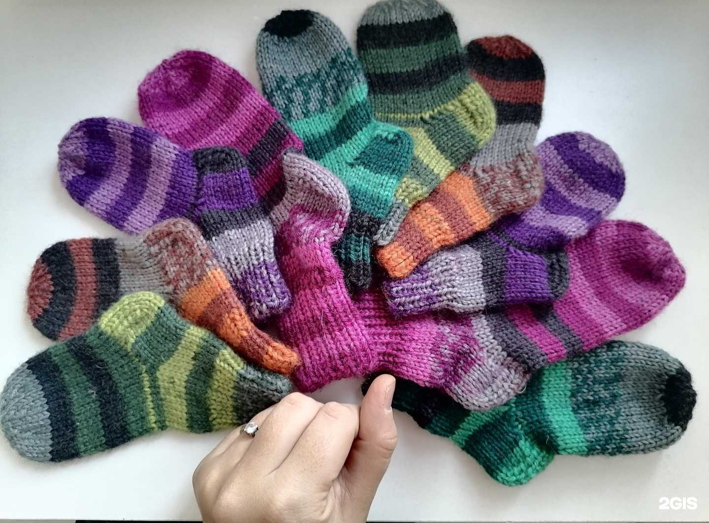 Отзывы на компанию Sherstyanaya tykva в г. Омск c фото