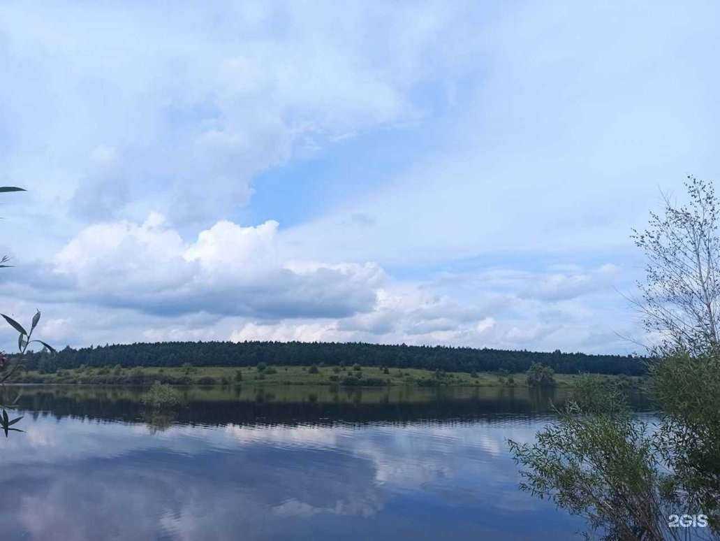 Отзывы на компанию Елецкая районная станция по борьбе с болезнями животных в г. Елец c фото