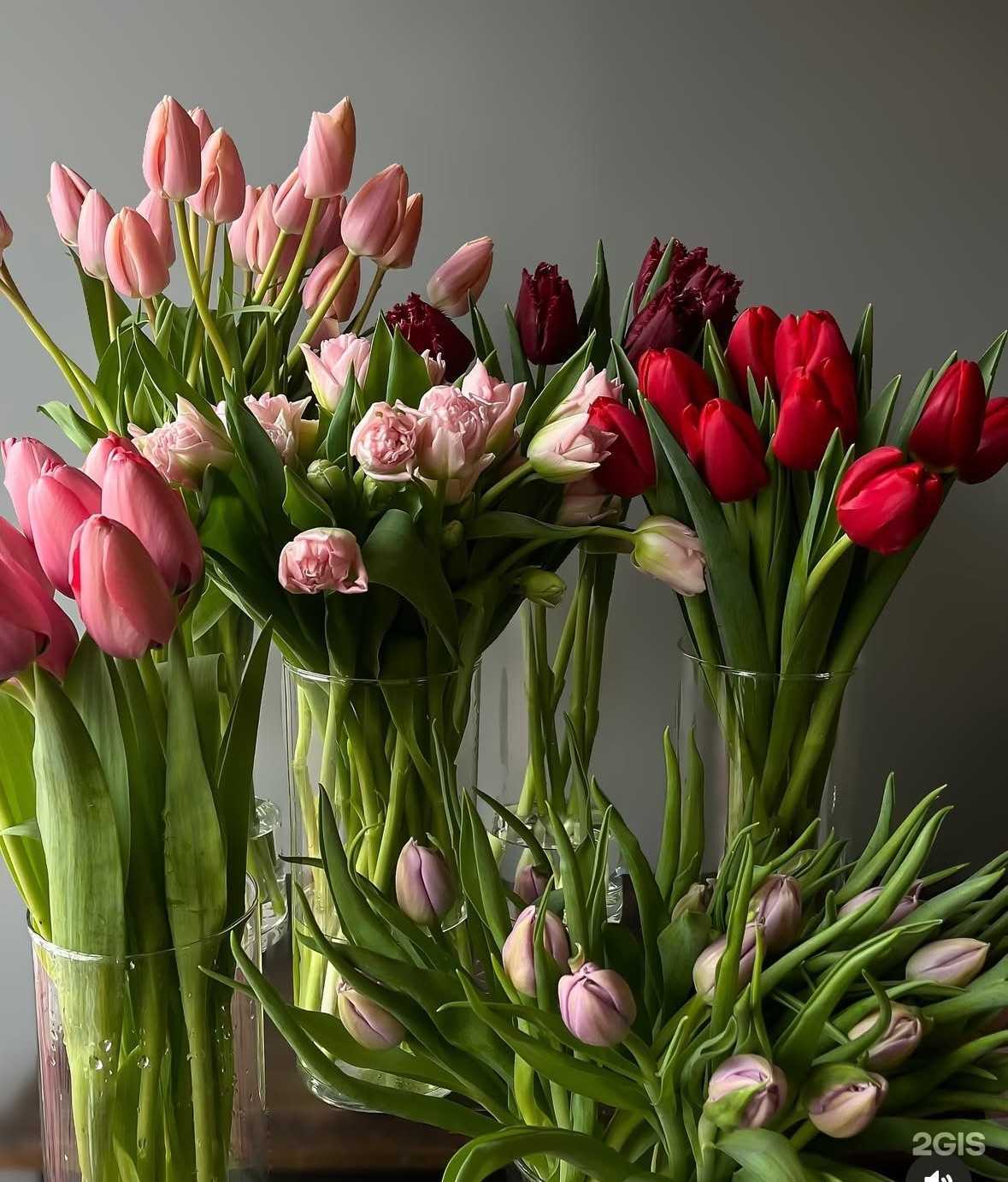 Отзывы на компанию Амели в г. Махачкала c фото