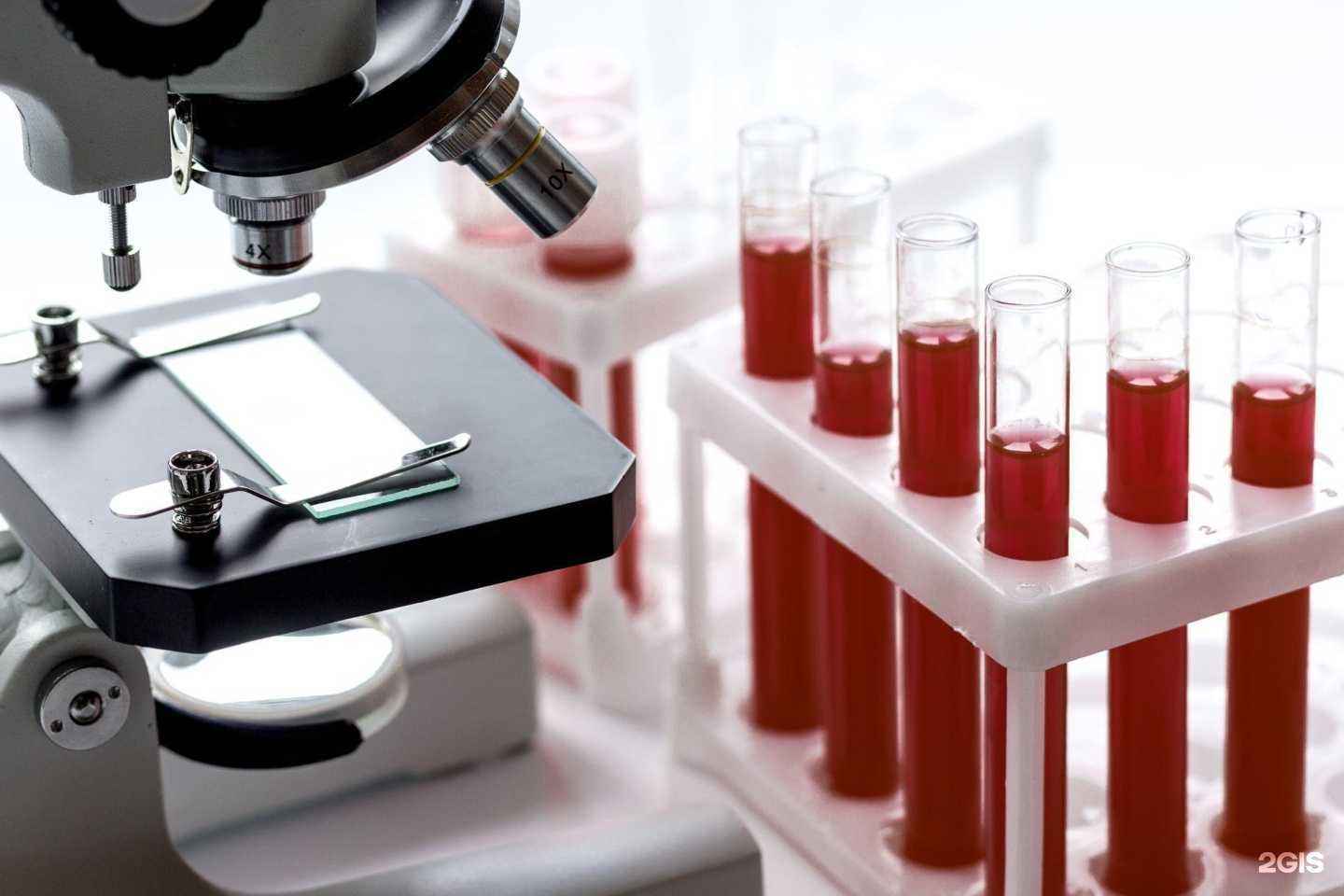 Отзывы на компанию Аддикт в Елизове c фото