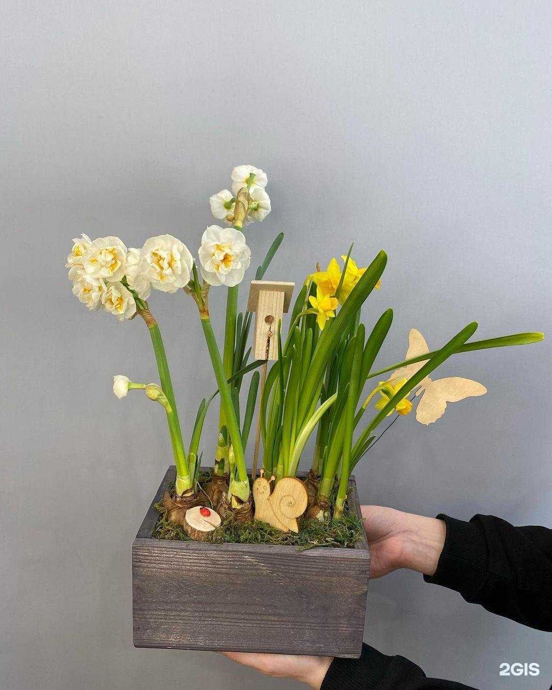 Отзывы на компанию Снегирь в г. Краснодар c фото