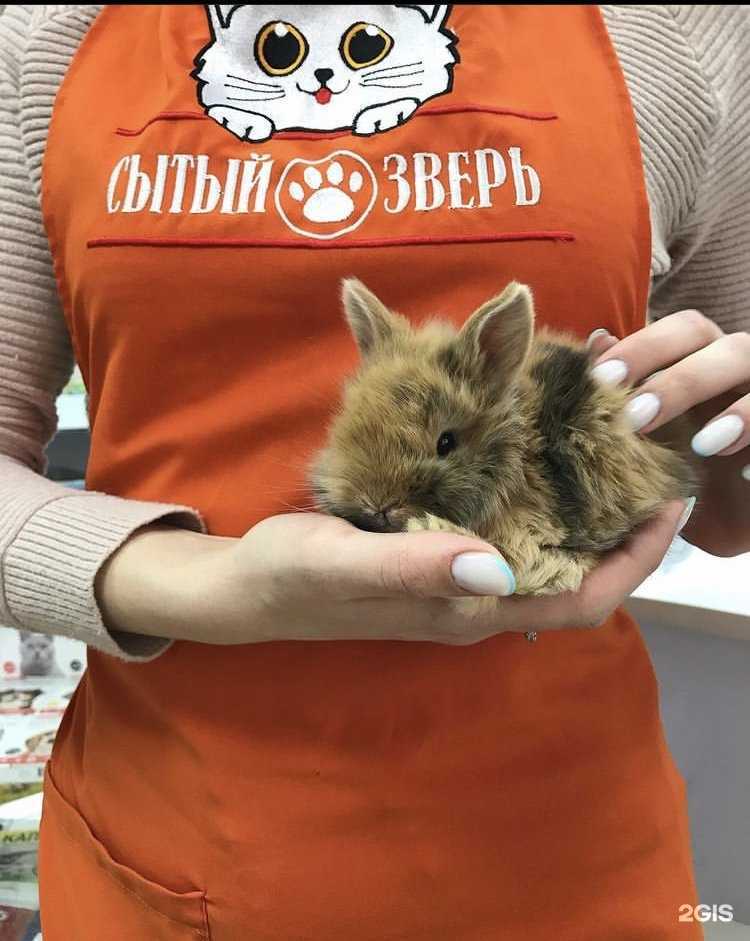 Отзывы на компанию Сытый зверь в г. Армавир c фото