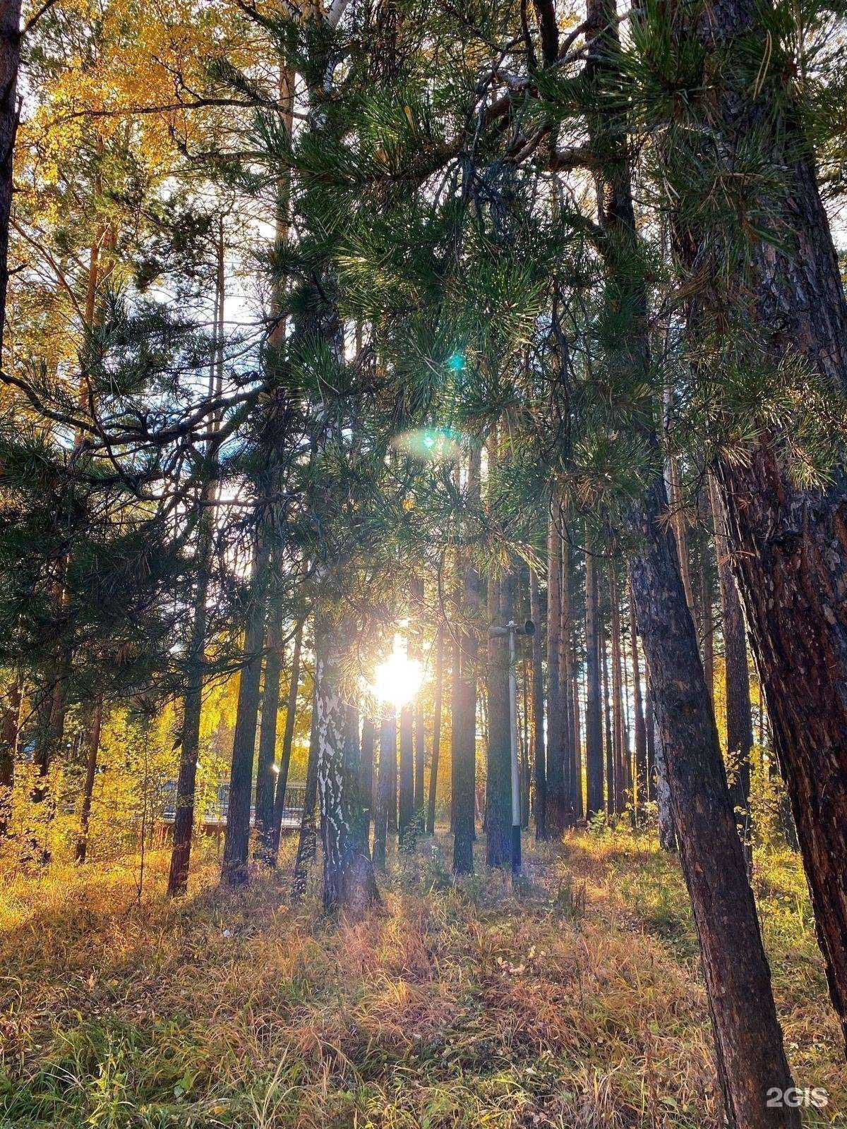 Отзывы на компанию Кисельный берег в Миассе c фото