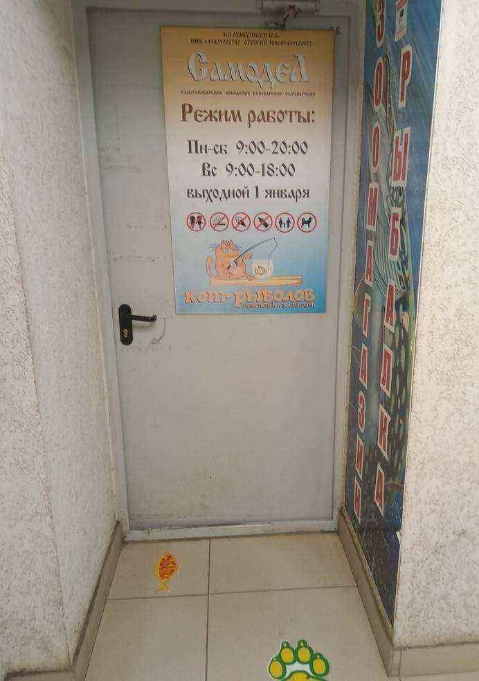 Отзывы на компанию Кот рыболов в Саратове c фото