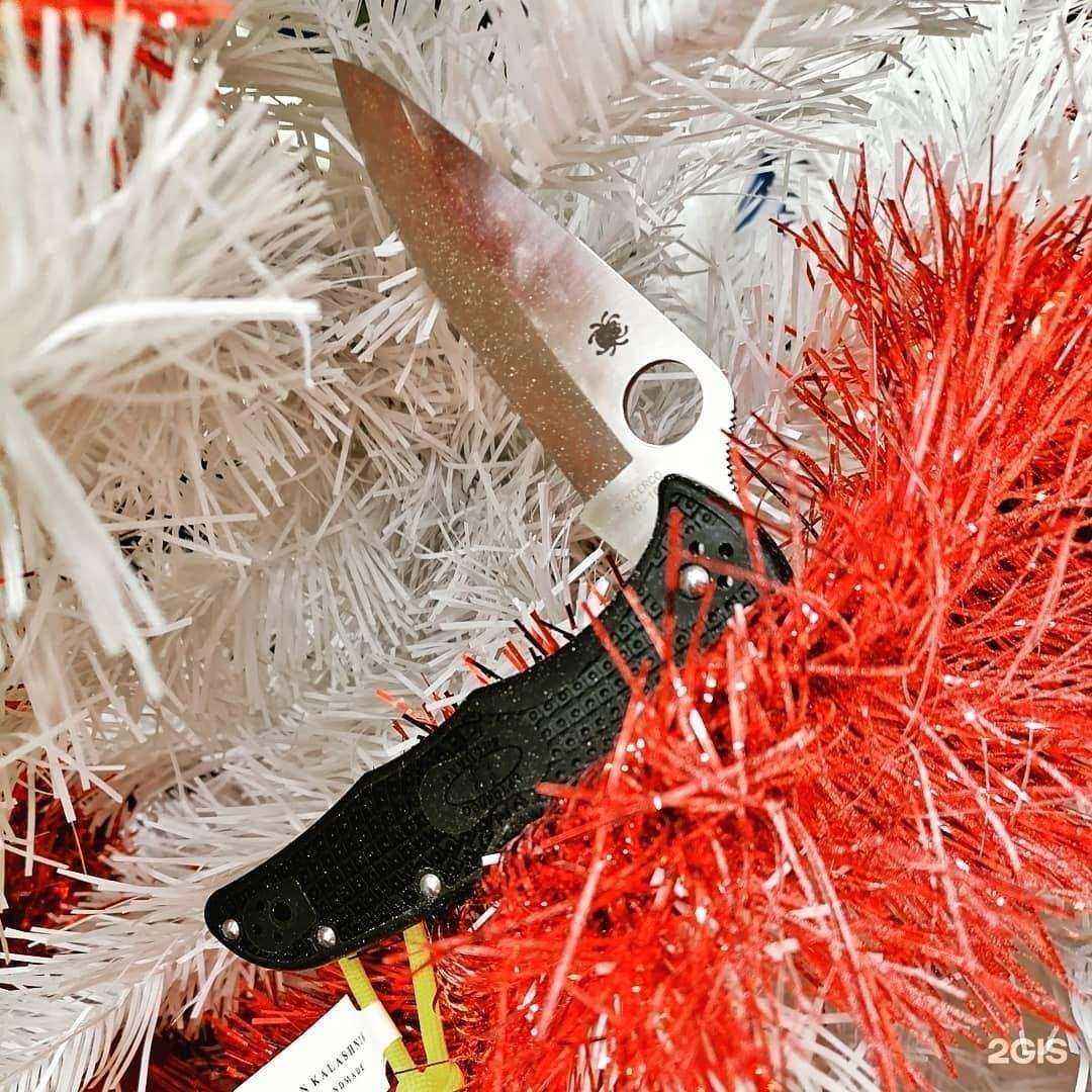 Отзывы на компанию Viking в г. Великий Новгород c фото