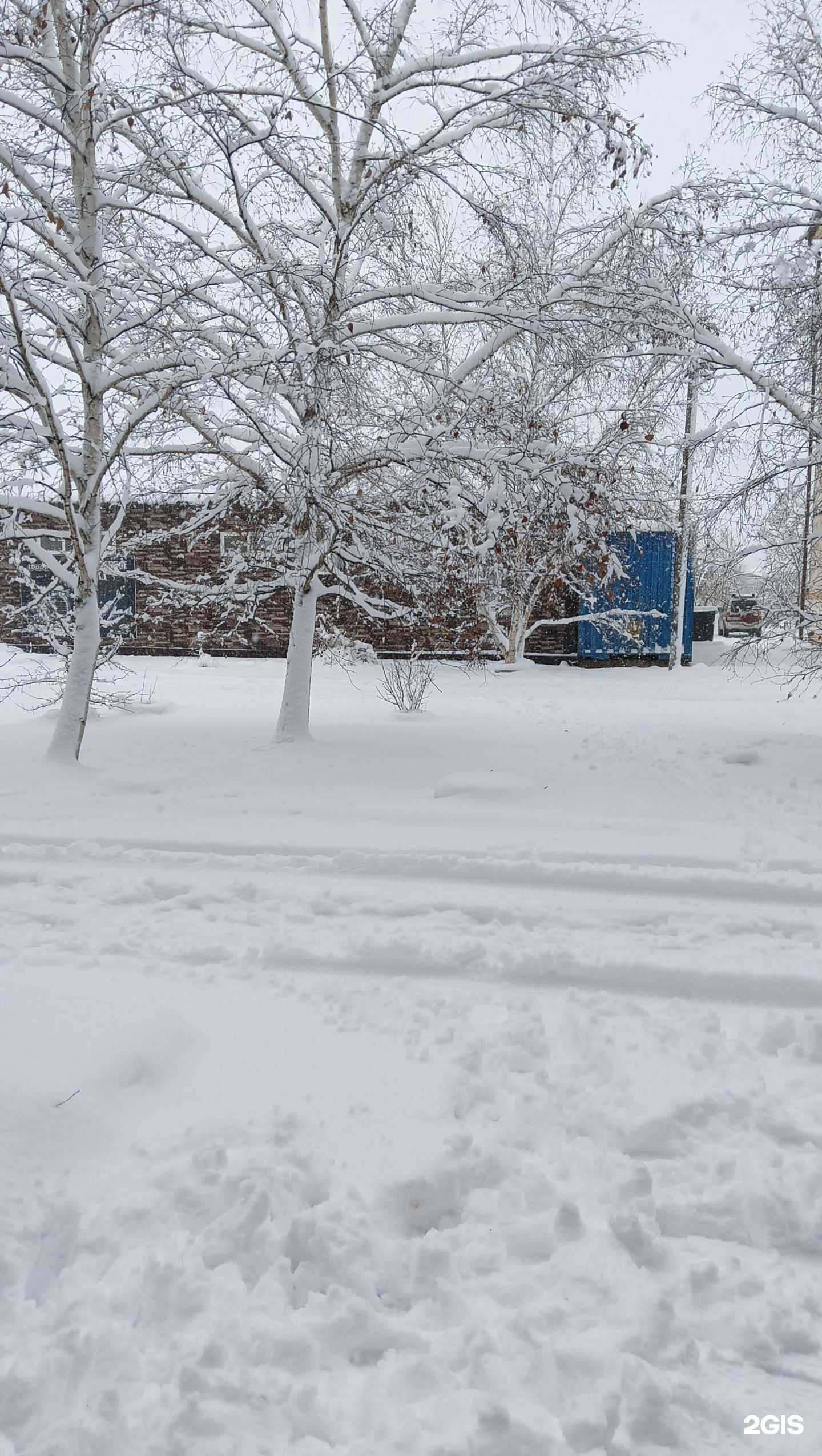 Отзывы на компанию У Петровича в Лесозаводске c фото