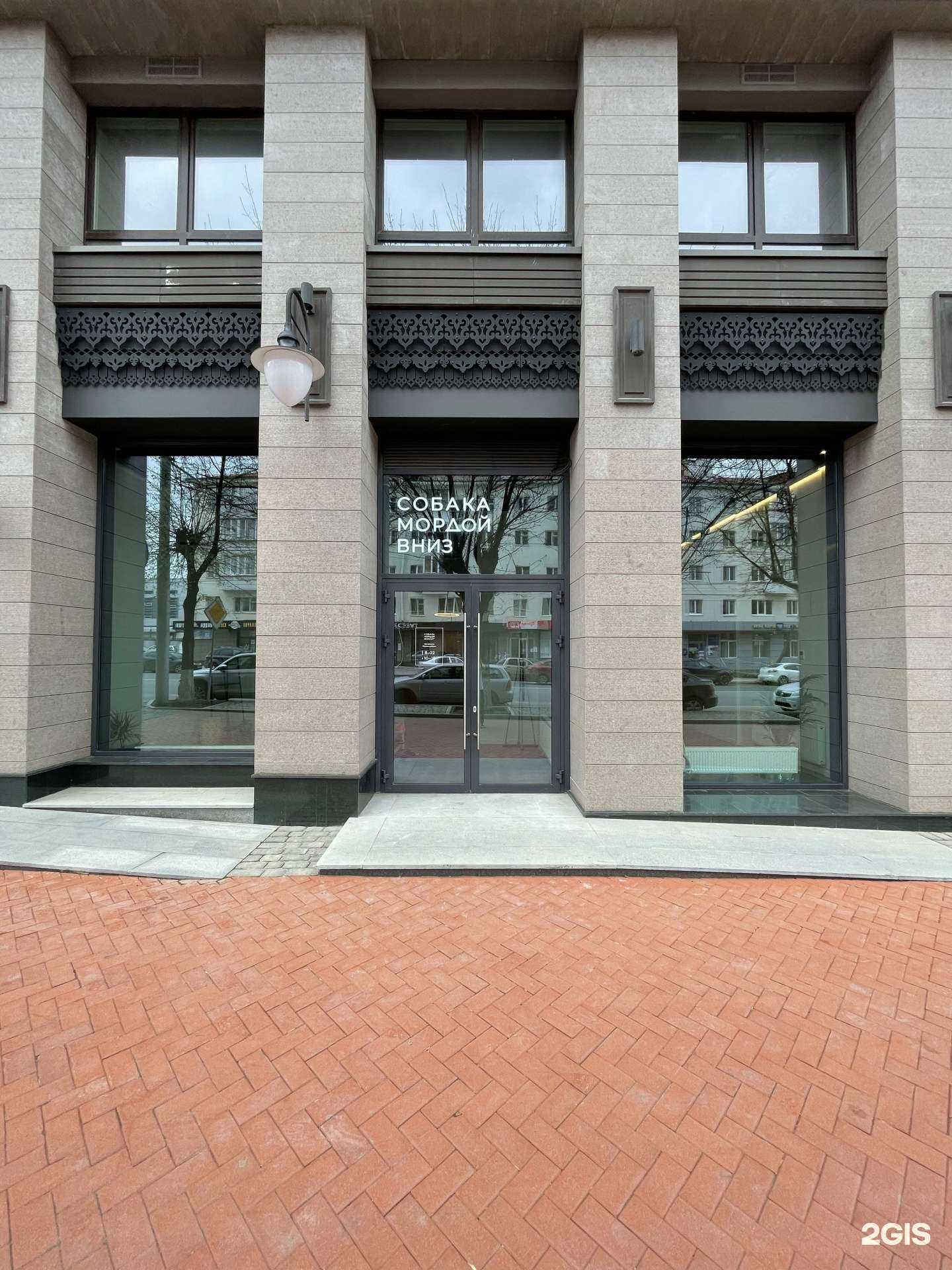 Отзывы на компанию Собака мордой вниз в Уфе c фото