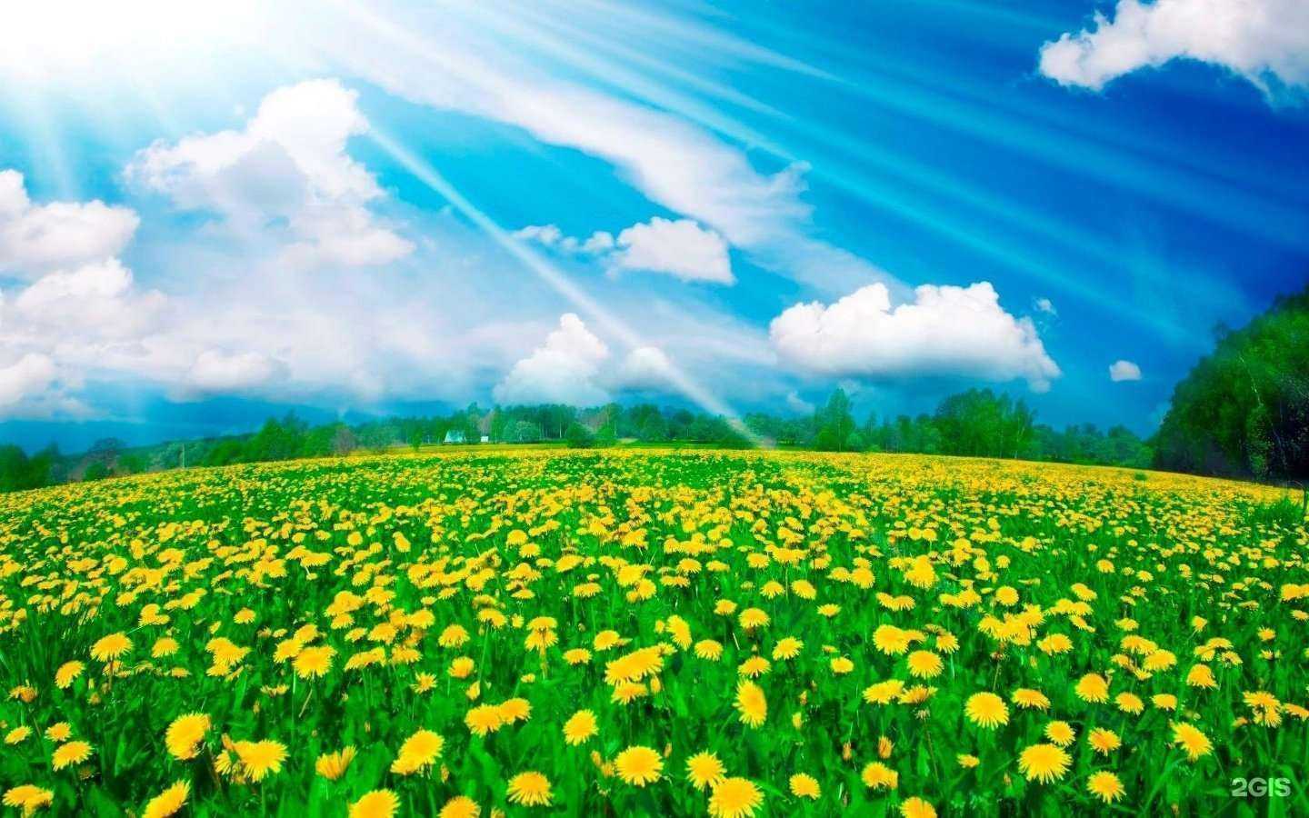 Отзывы на компанию Любер-эксперт в г. Люберцы c фото