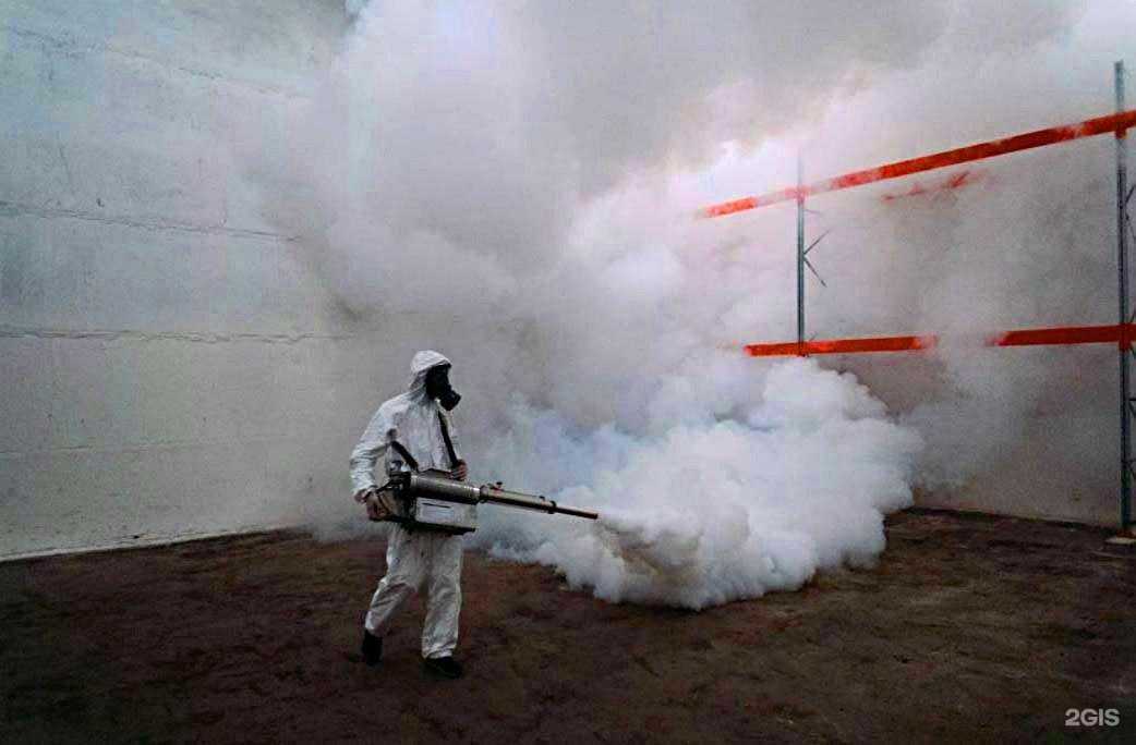 Отзывы на компанию Дезмастер в г. Нижний Новгород c фото