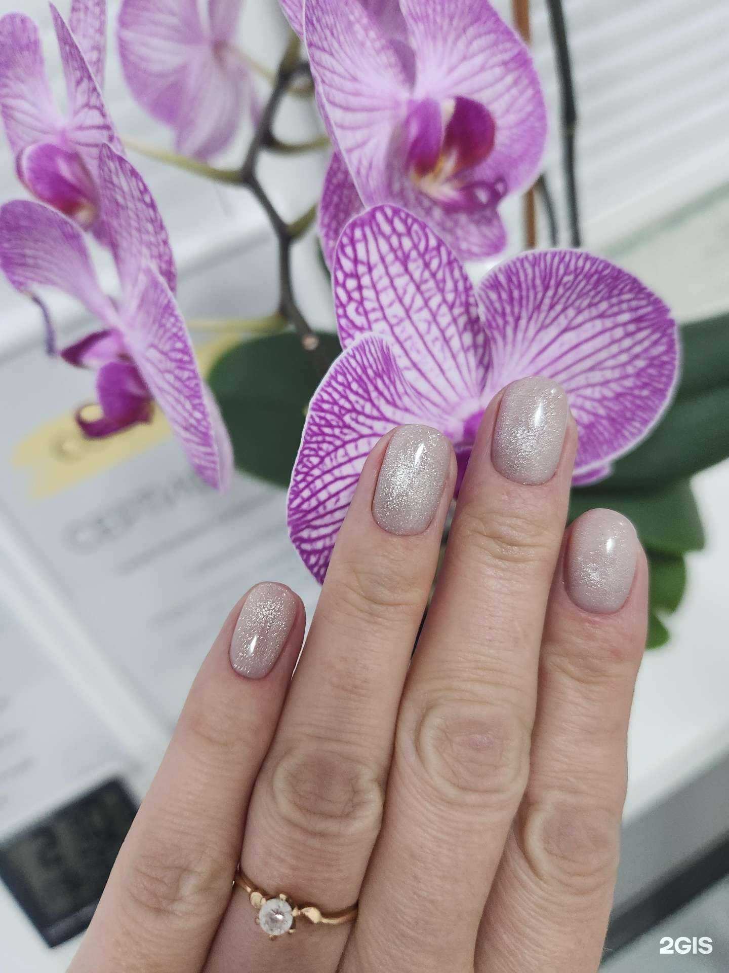 Отзывы на компанию Nails&Hairs в Владивостоке c фото