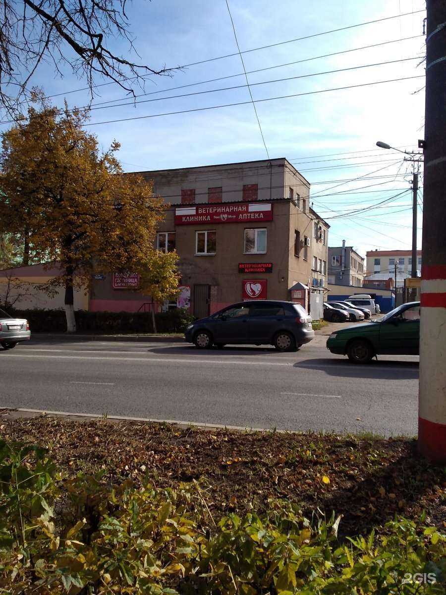 Отзывы на компанию ЗооМир в г. Саранск c фото