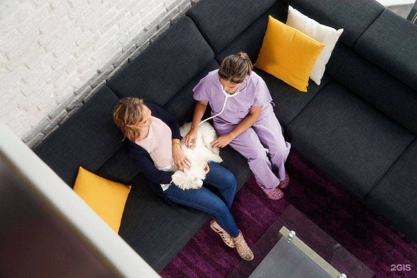 Отзывы на компанию Белый и Пушистый в Владивостоке c фото