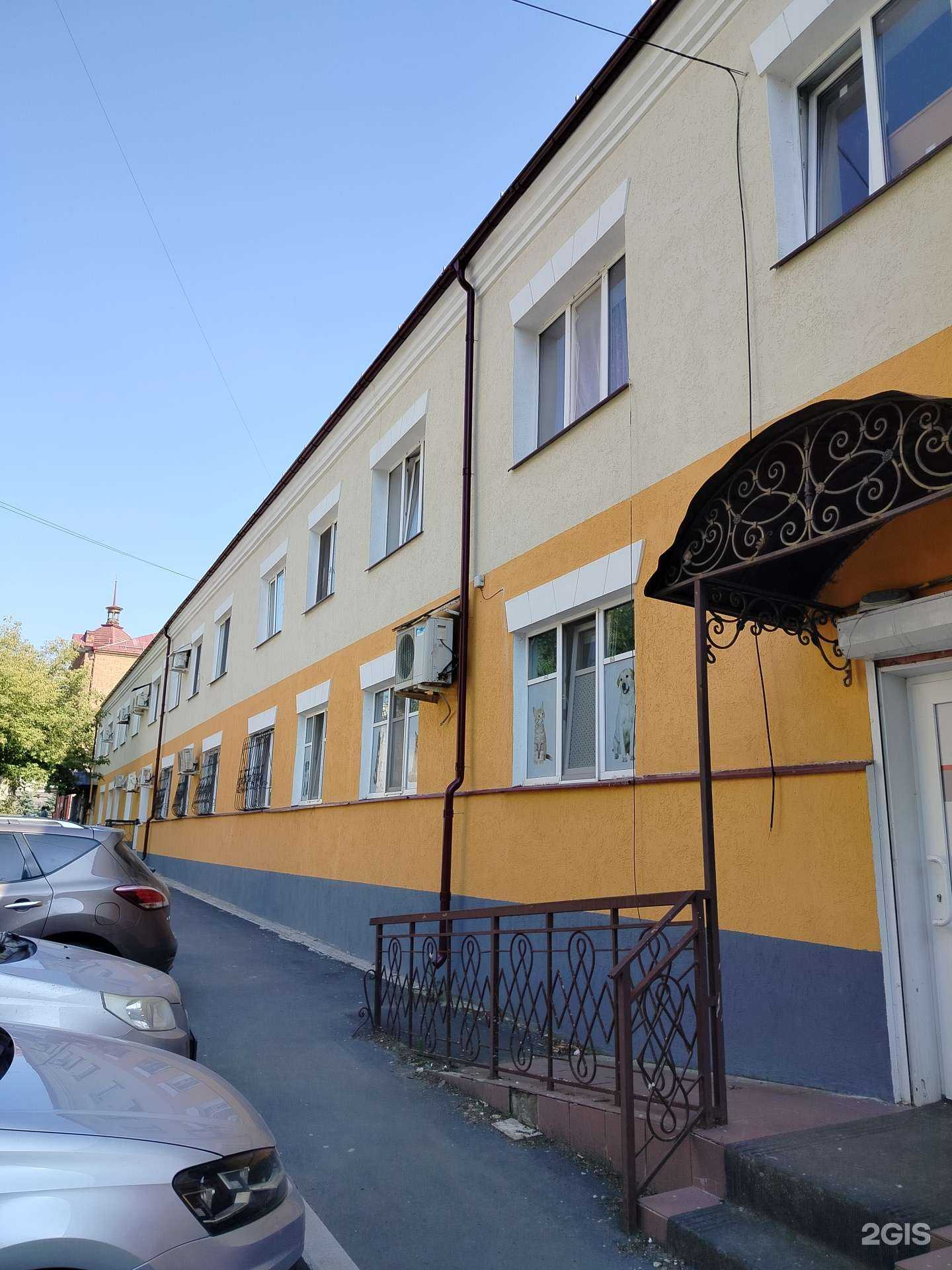 Отзывы на компанию Центр льготной стерилизации животных в Оренбурге c фото - фотография 2 из 2