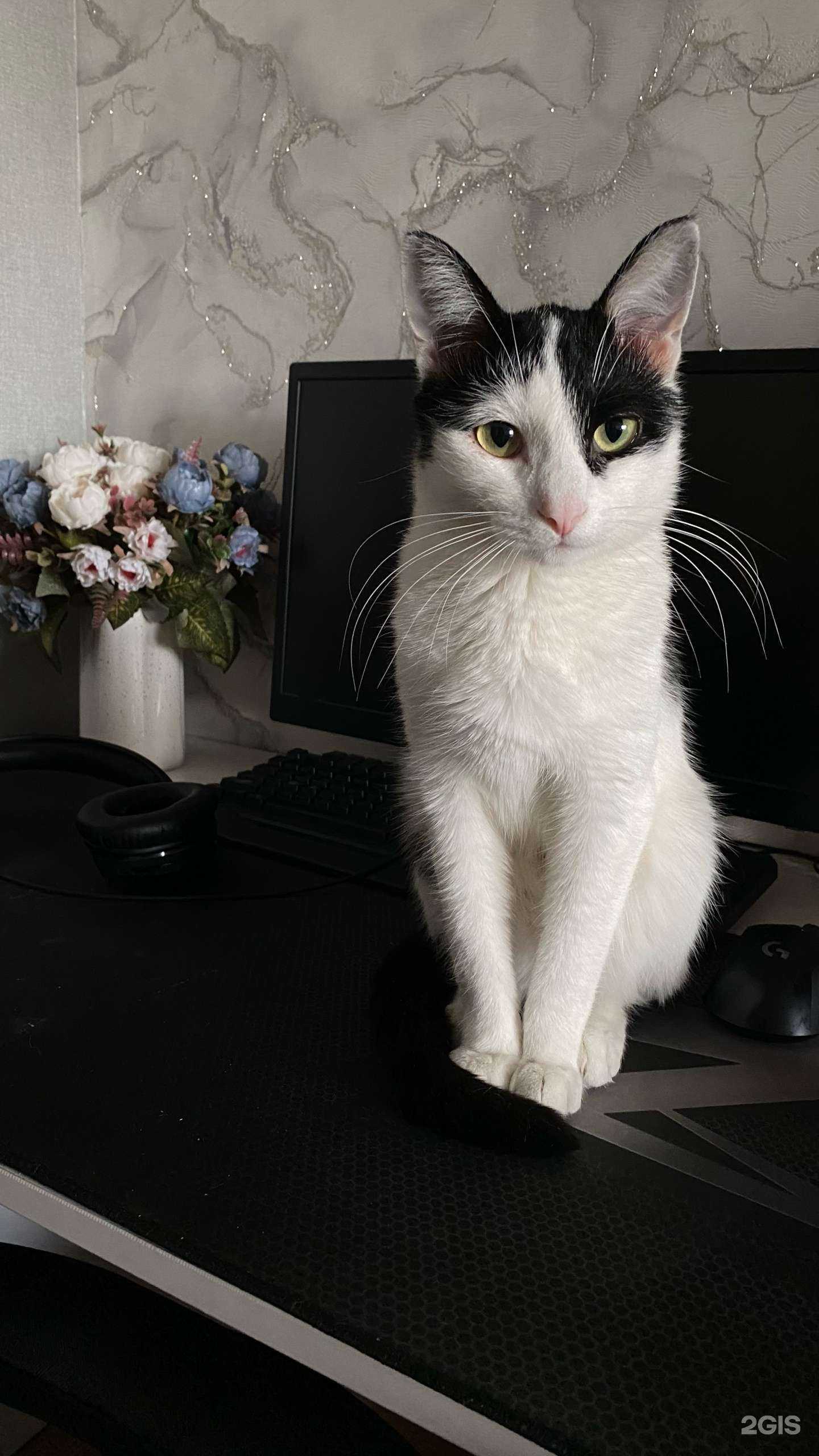 Отзывы на компанию Биоритм в Минусинске c фото