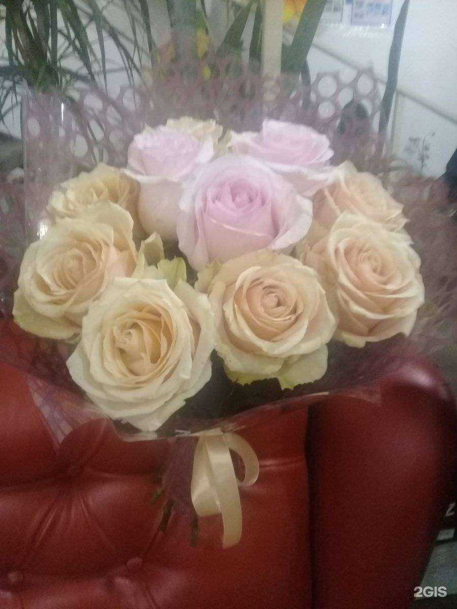 Отзывы на компанию Рай в г. Красноярск c фото