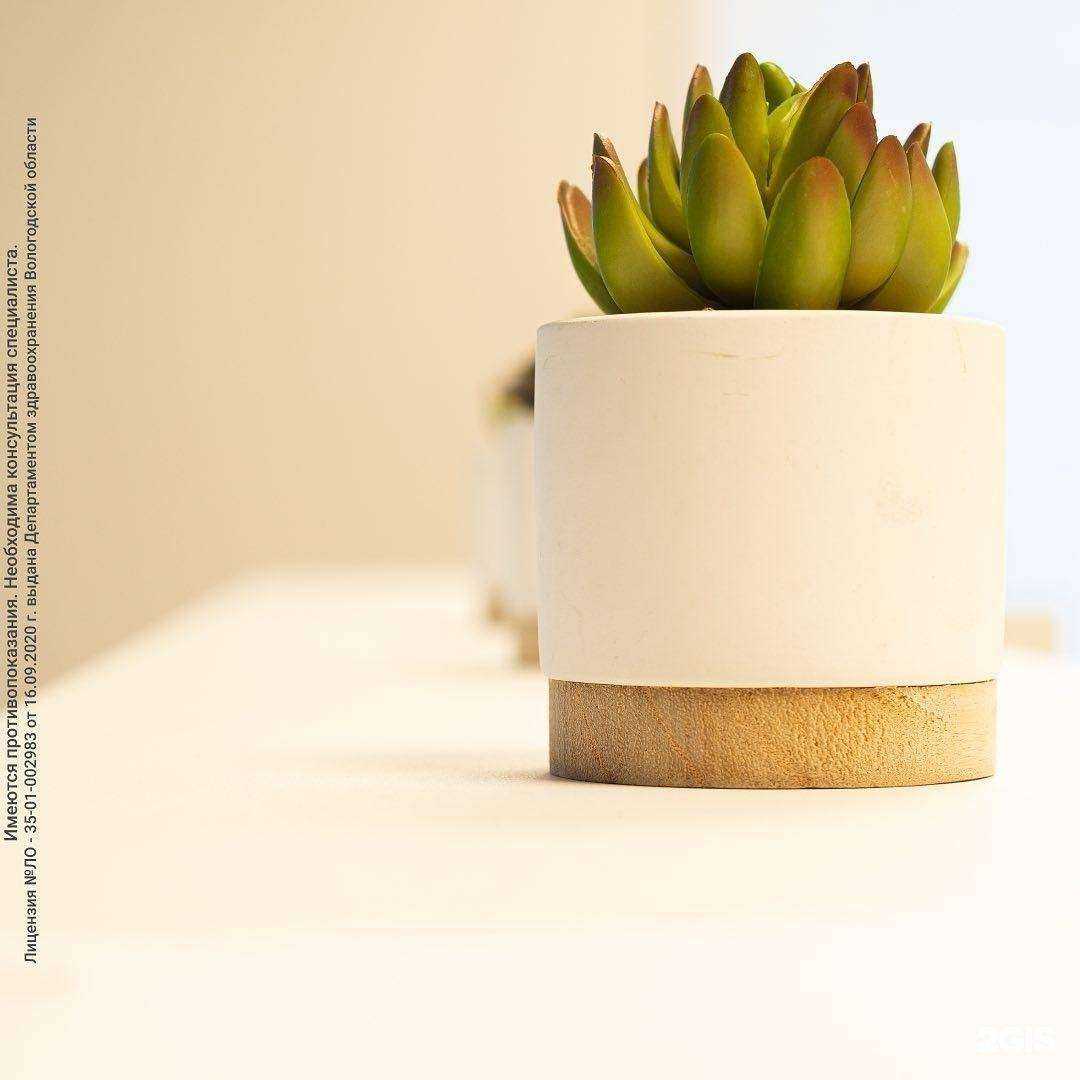 Отзывы на компанию Медэксперт в г. Череповец c фото