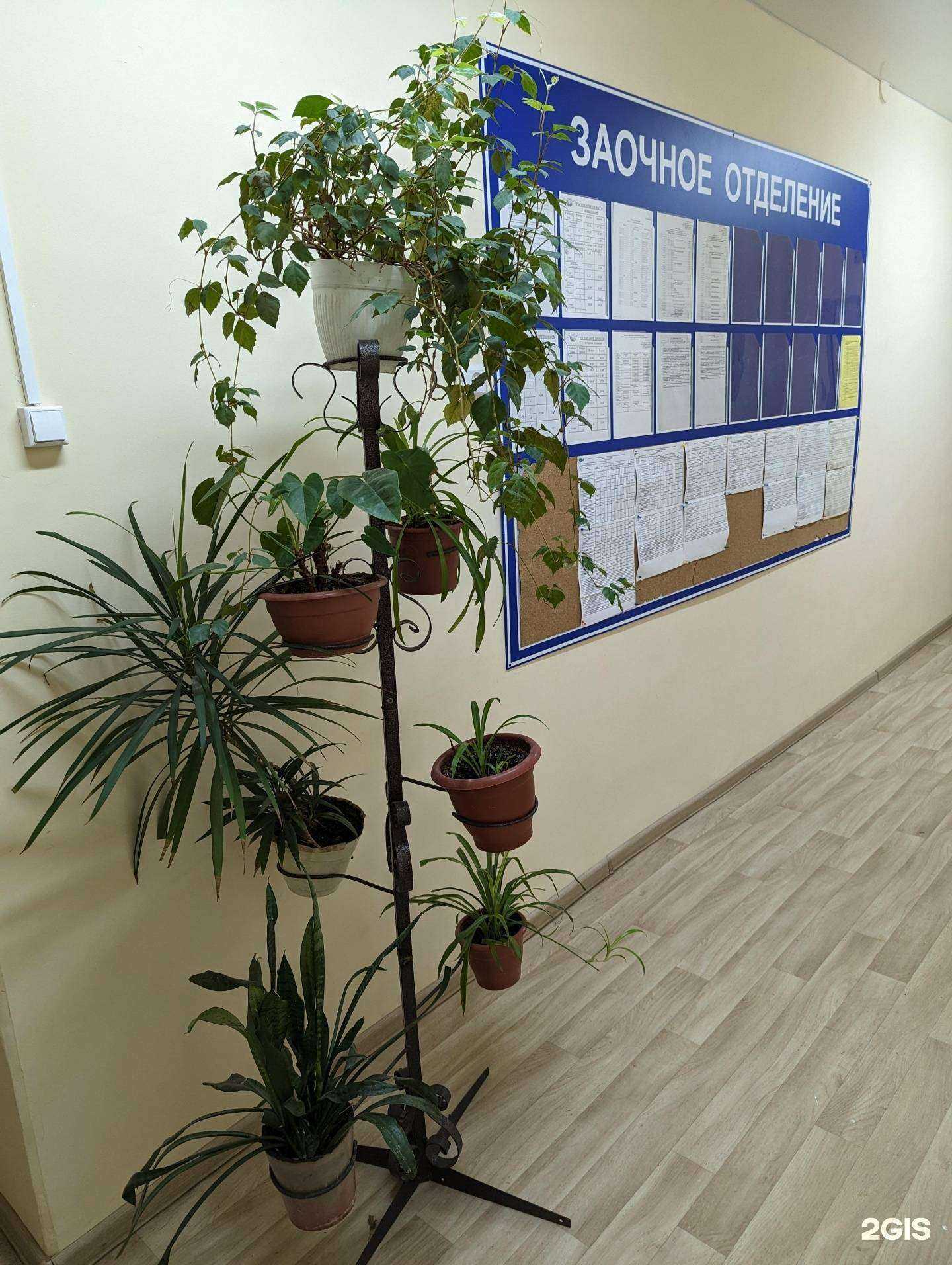 Отзывы на компанию Костромской колледж отраслевых технологий строительства и лесной промышленности в Костроме c фото