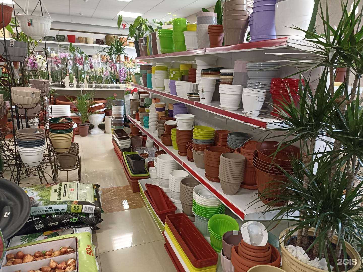 Отзывы на компанию Природа в Кисловодске c фото