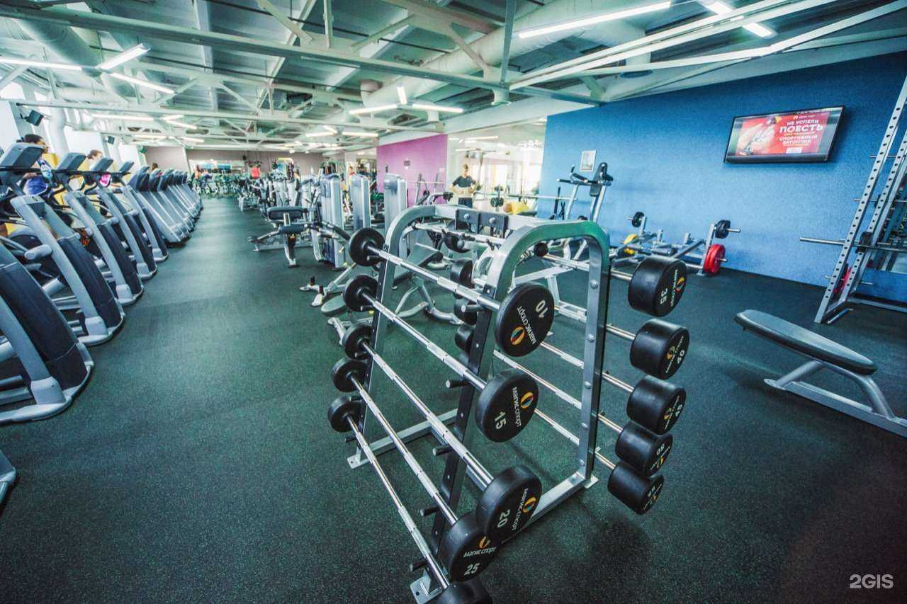 Отзывы на компанию Магис Спорт в г. Барнаул c фото