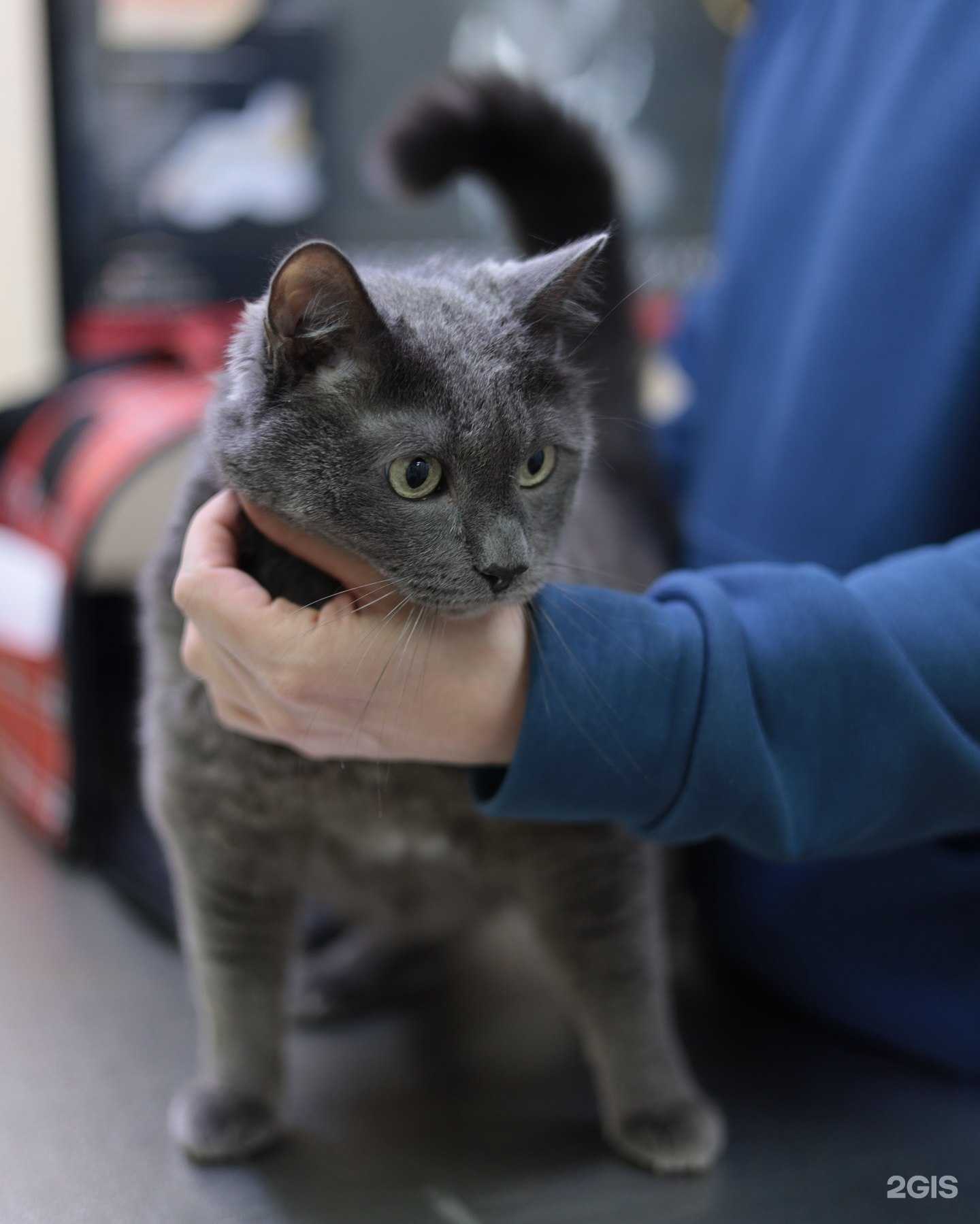 Отзывы на компанию Бравые ребята в Красноярске c фото