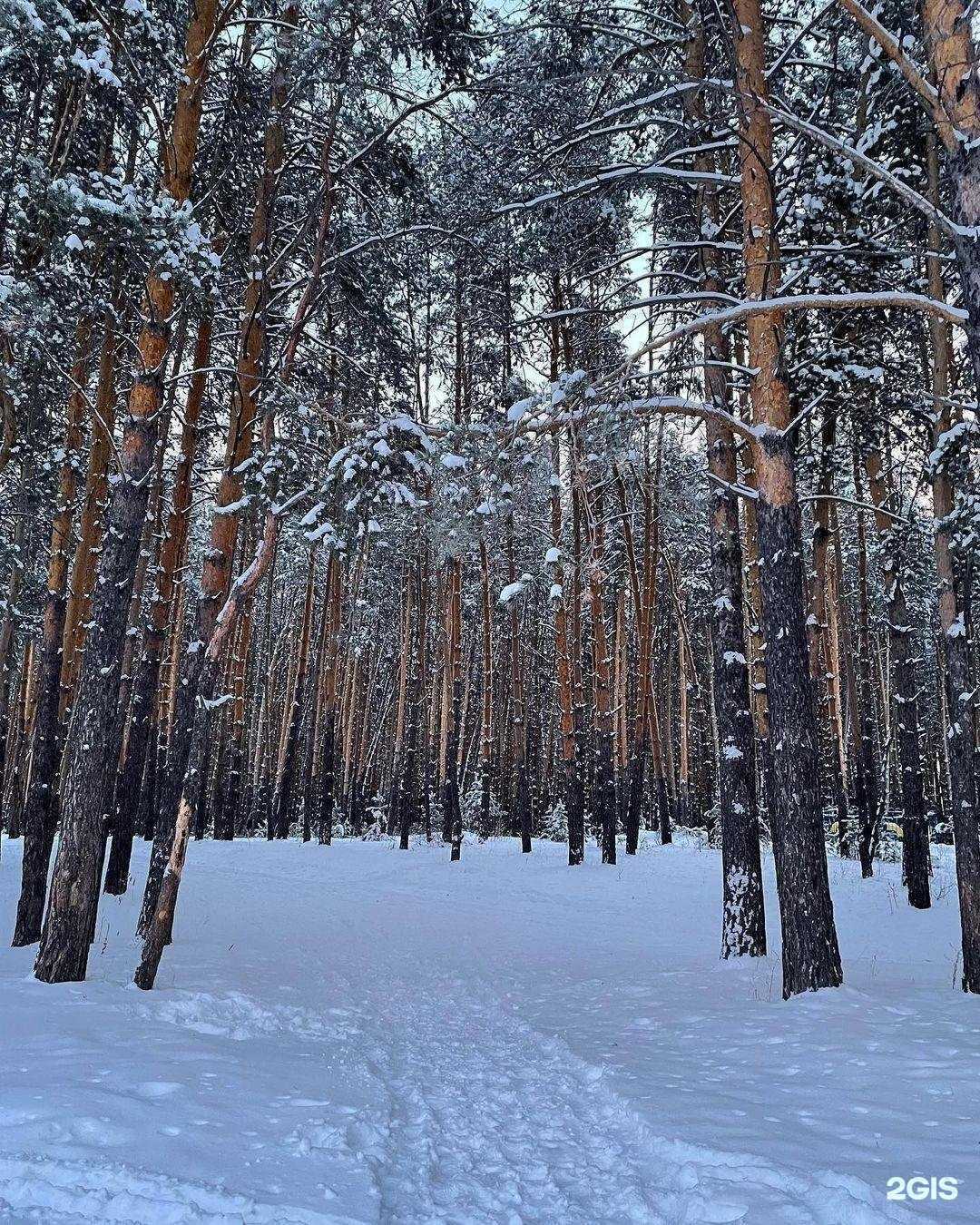 Отзывы на компанию Anahita в Оренбурге c фото