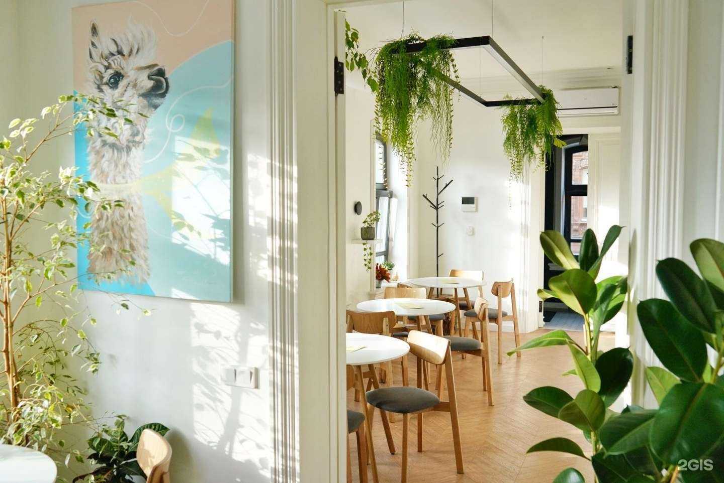 Отзывы на компанию Твоя культура в Тюмени c фото