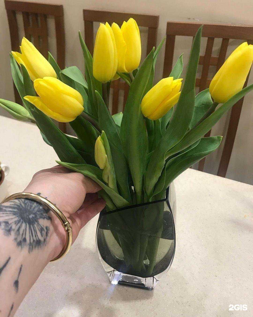 Отзывы на компанию Руша в Владимире c фото