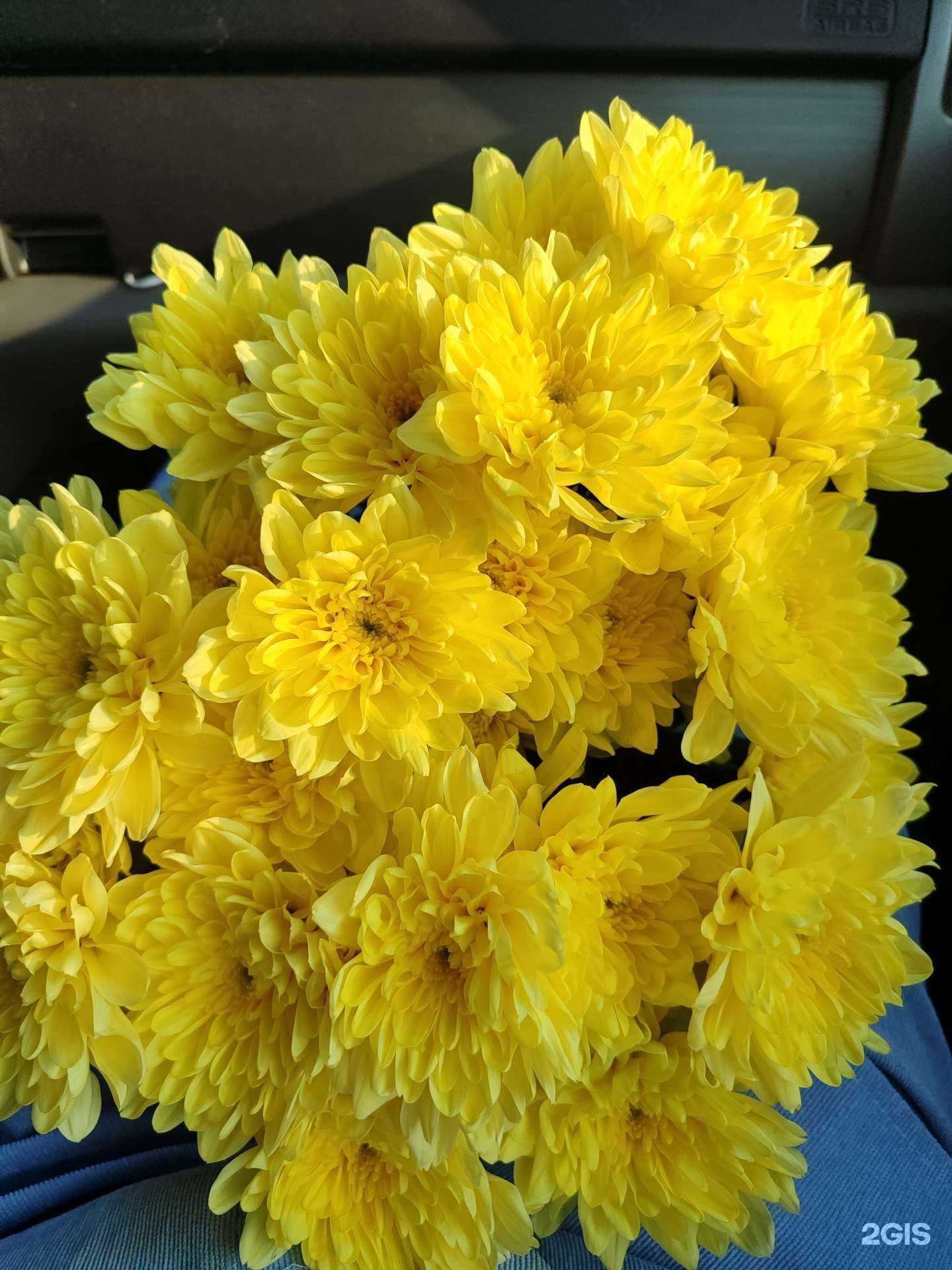 Отзывы на компанию Крокус в г. Петропавловск-Камчатский c фото