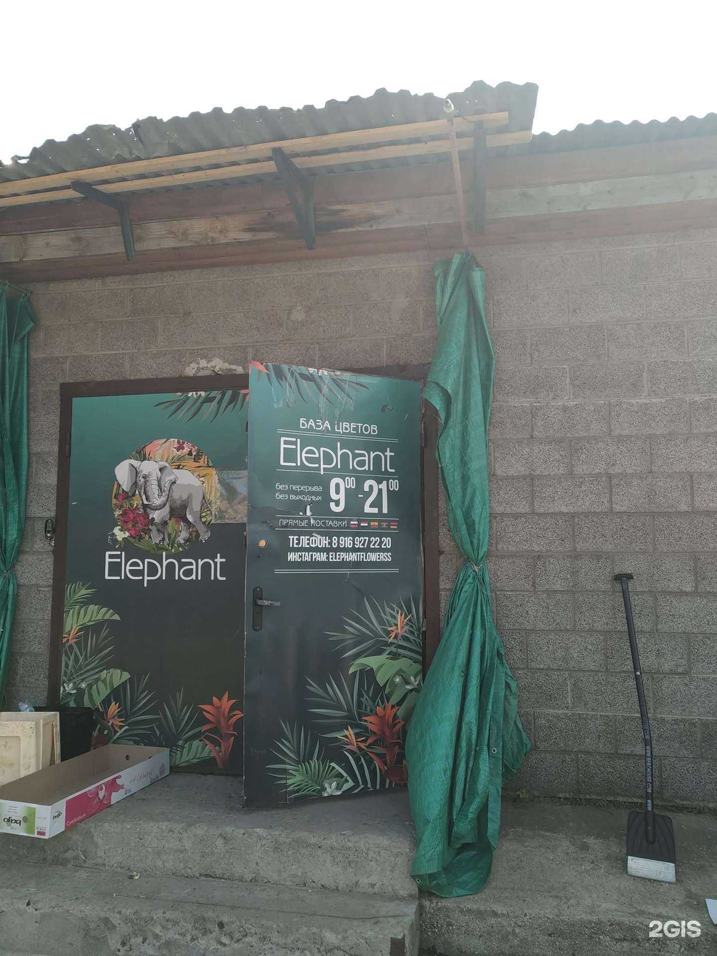 Отзывы на компанию Elephant в г. Жуковский c фото
