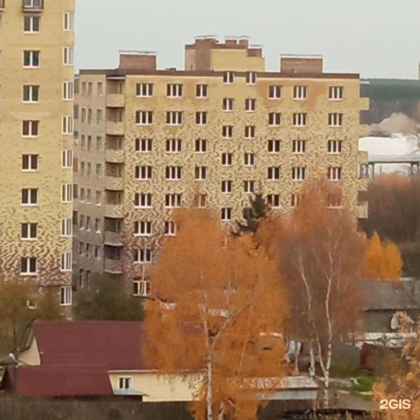 Отзывы на компанию Жвачка в Ярославле c фото - фотография 2 из 2