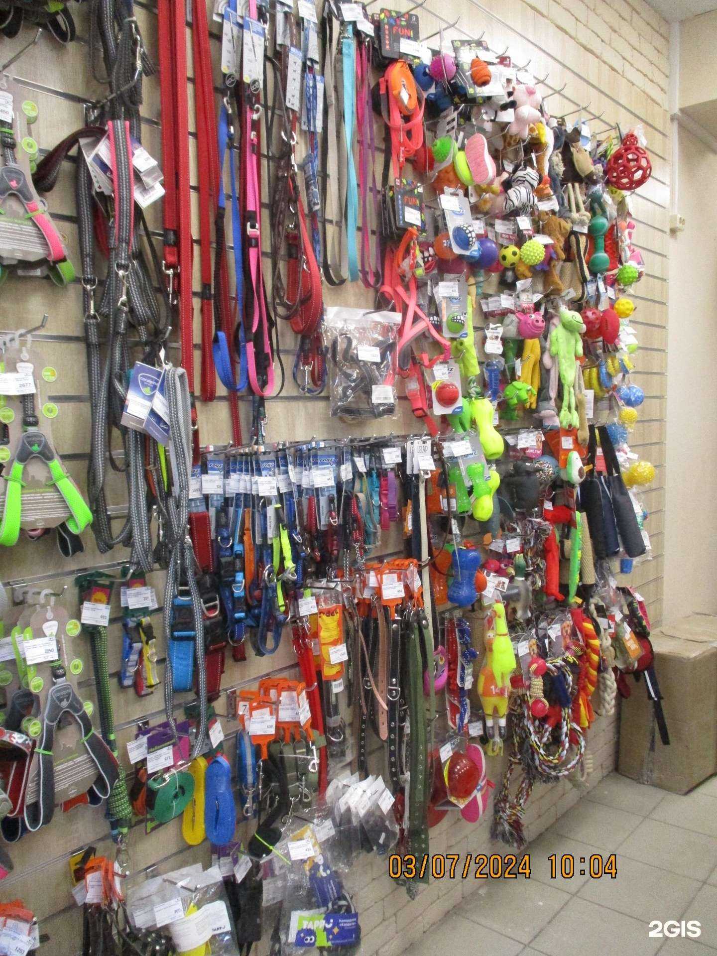 Отзывы на компанию Petshop.ru в Воронеже c фото