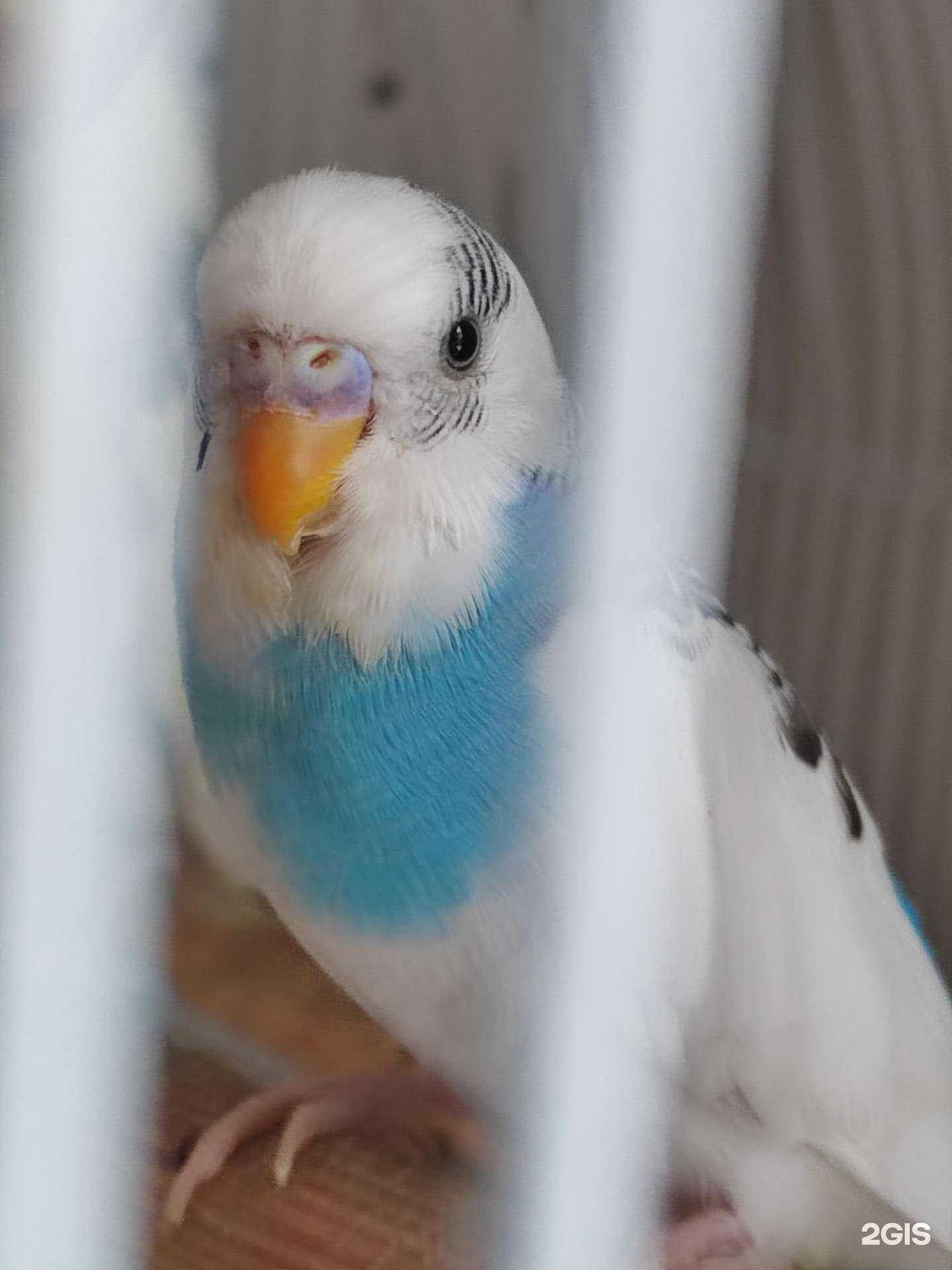 Отзывы на компанию Современный аквариум в Краснодаре c фото