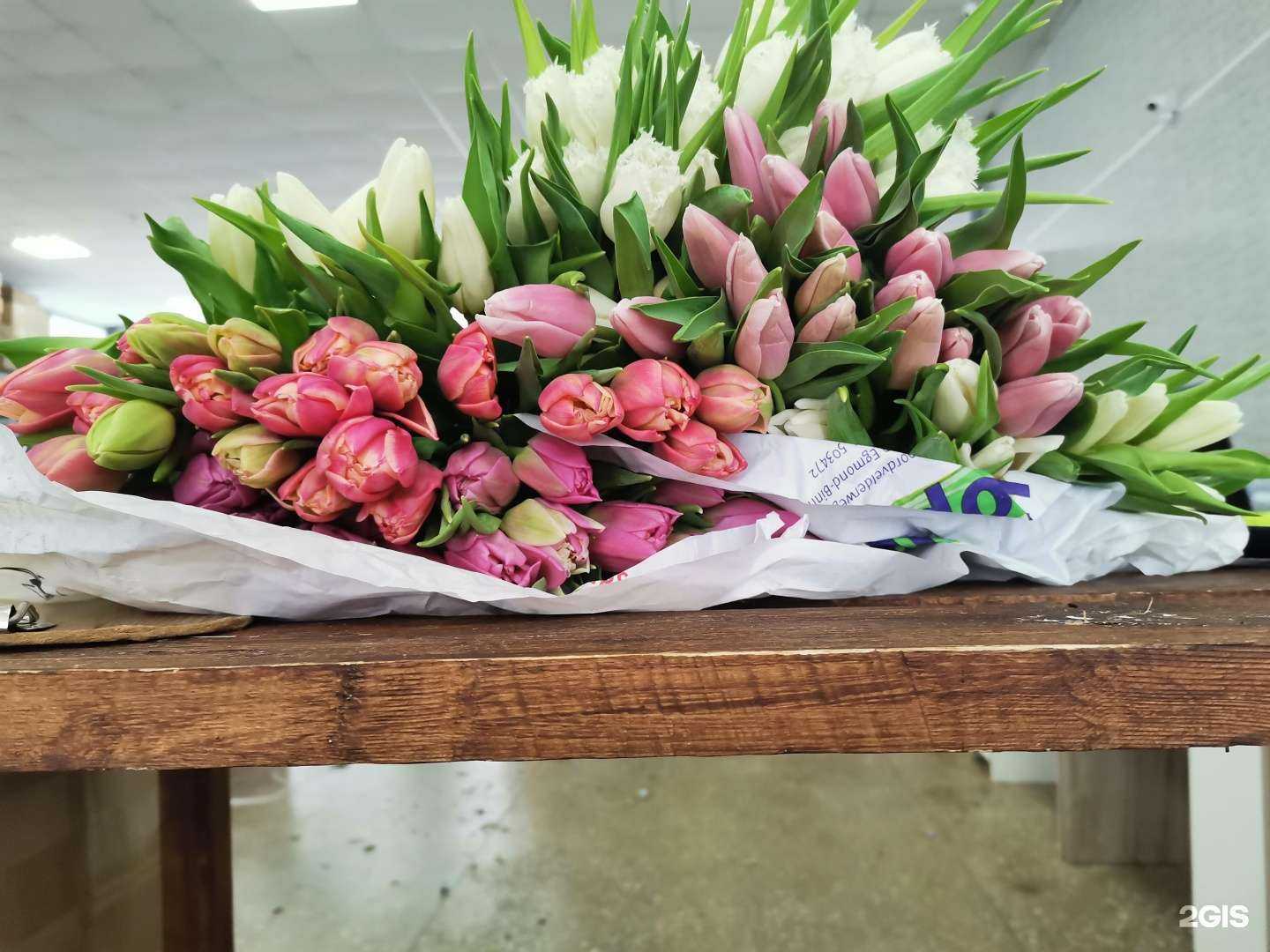 Отзывы на компанию Astragreen в Набережных Челнах c фото