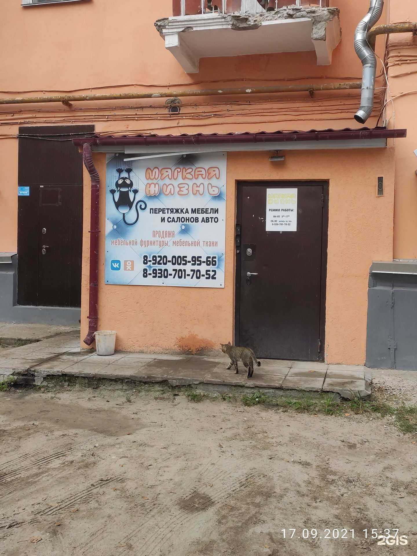 Отзывы на компанию Мягкая жизнь в Дзержинске c фото