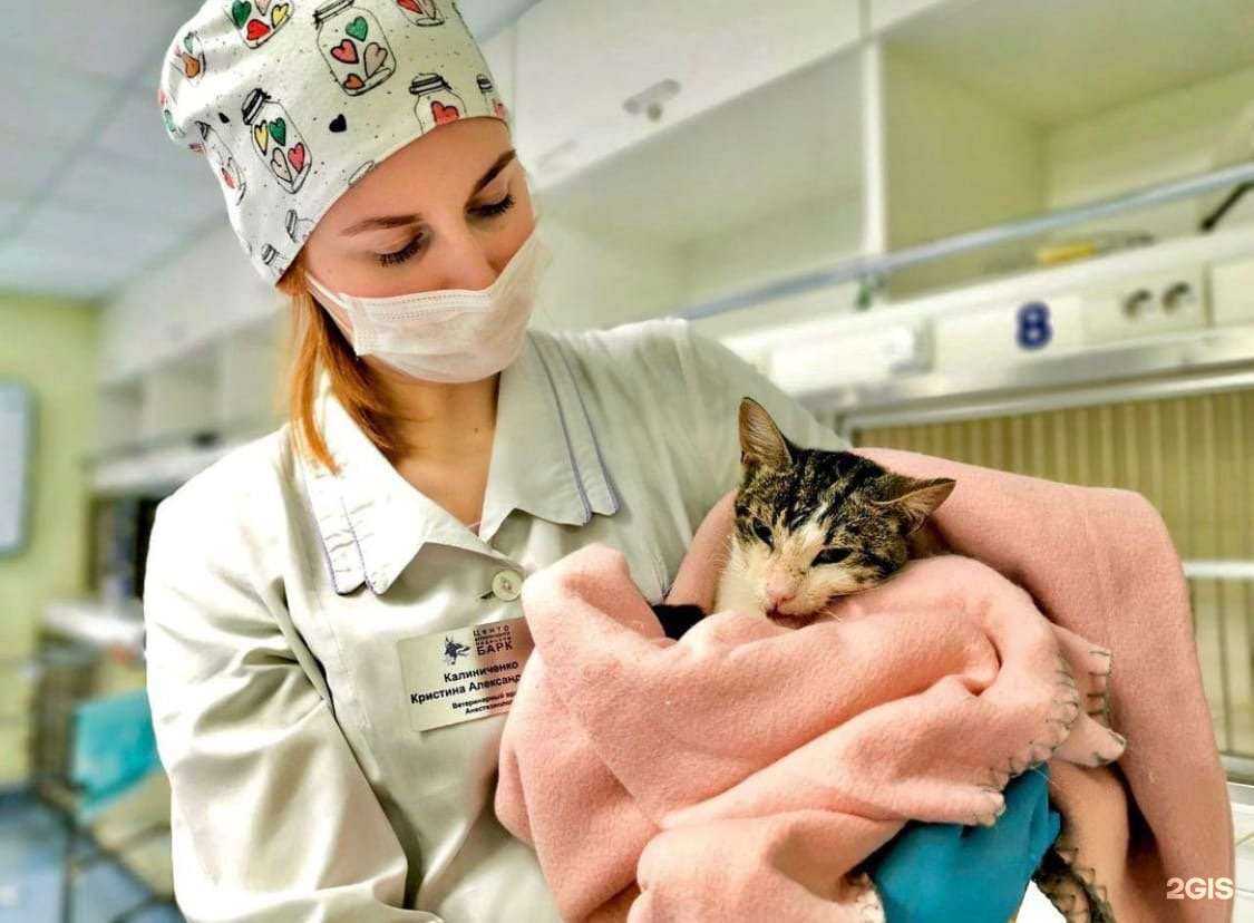 Отзывы на компанию Барк в Архангельске c фото