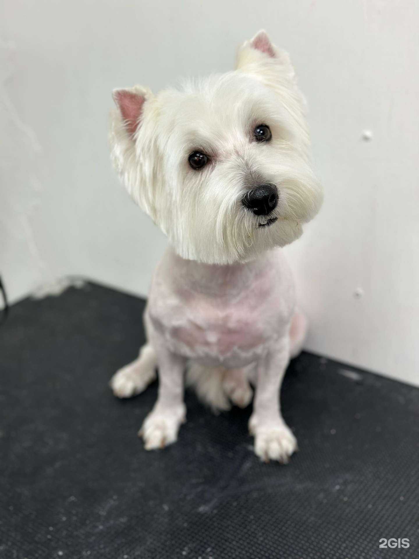 Отзывы на компанию Mul’en в г. Сочи c фото