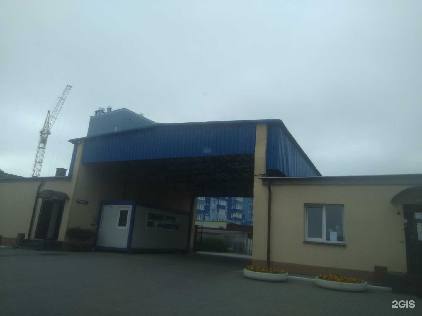 Отзывы на компанию Edis в Калининграде c фото