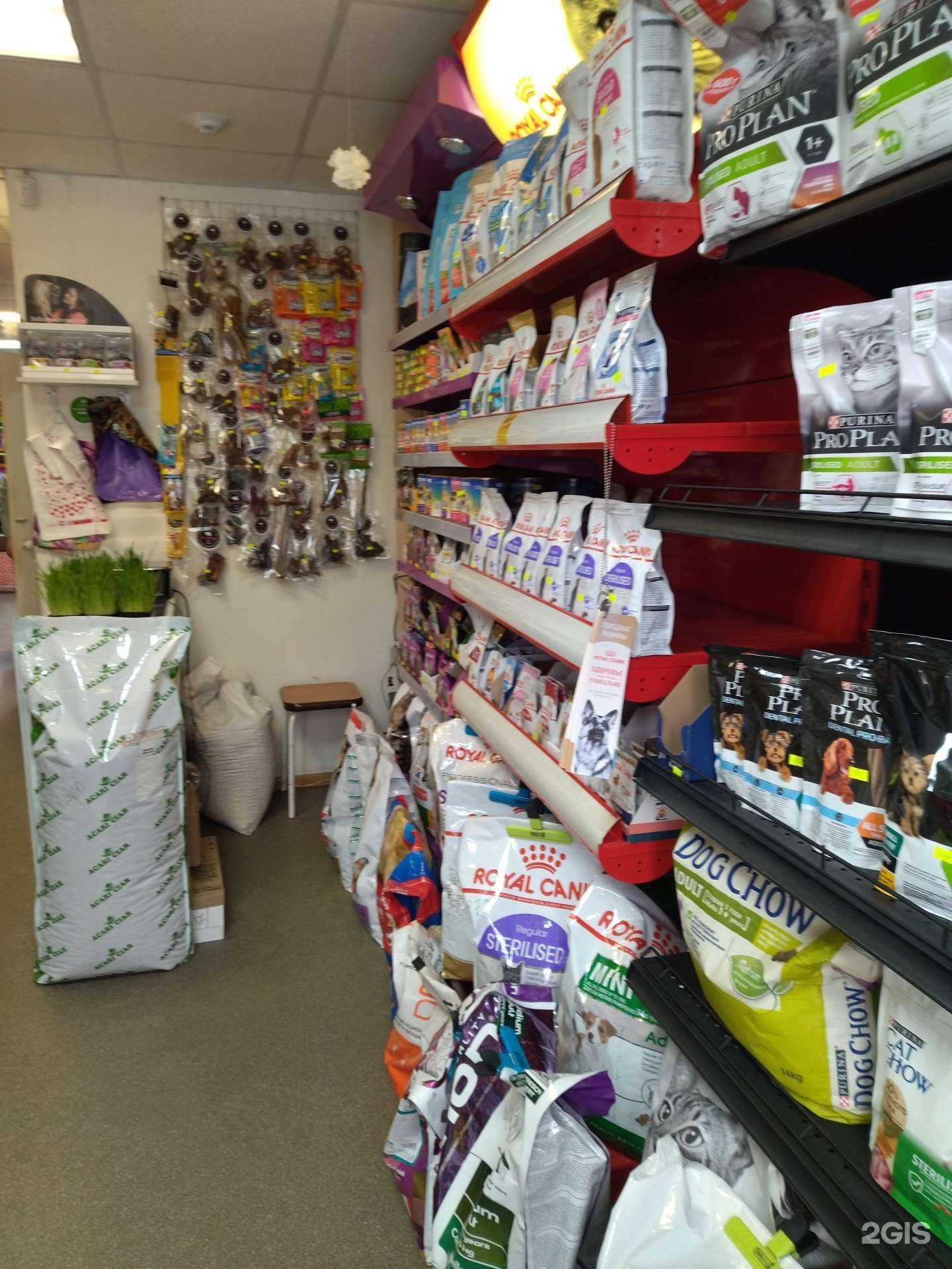 Отзывы на компанию ЛапУшки в Томске c фото