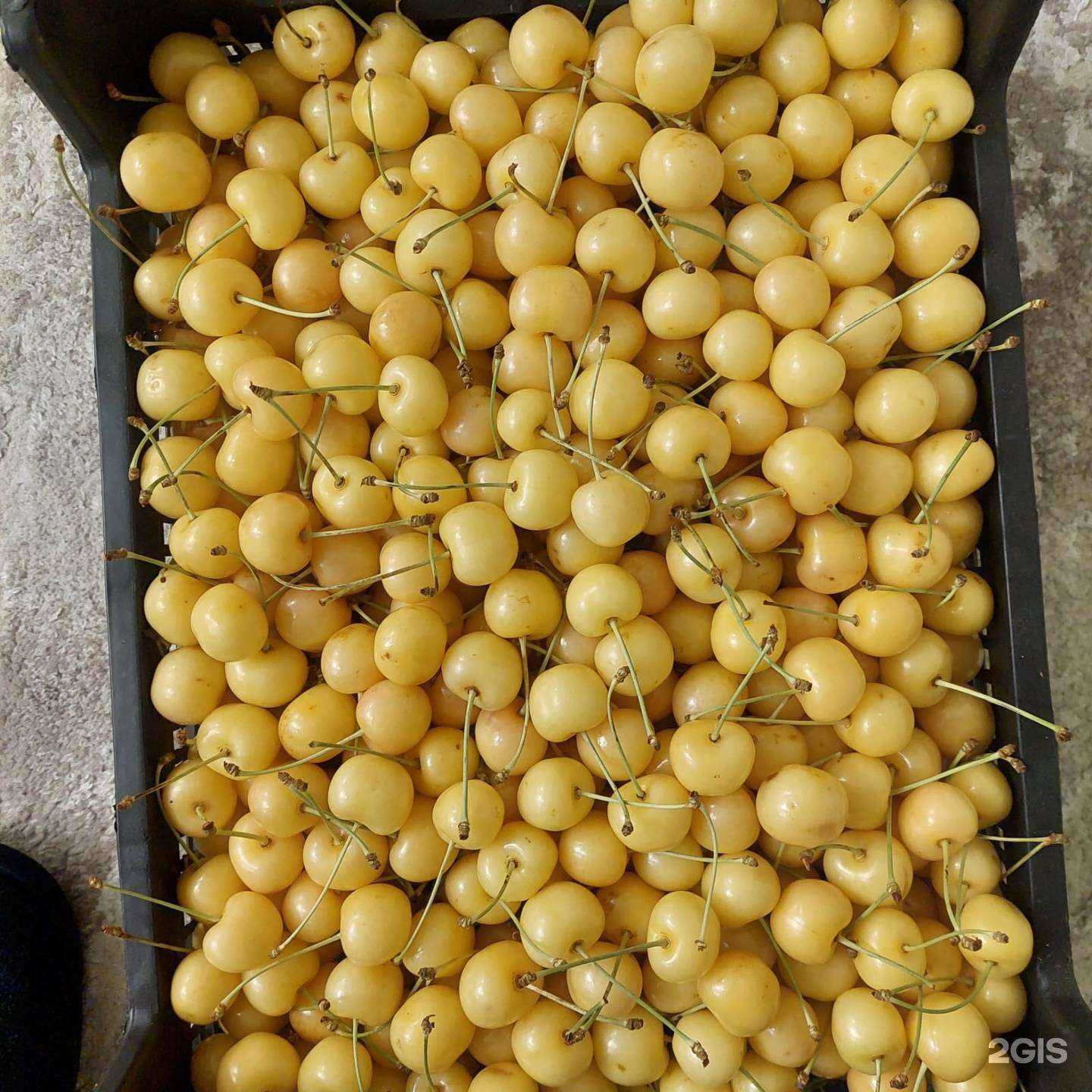 Отзывы на компанию Фруктовый мир в Тюмени c фото