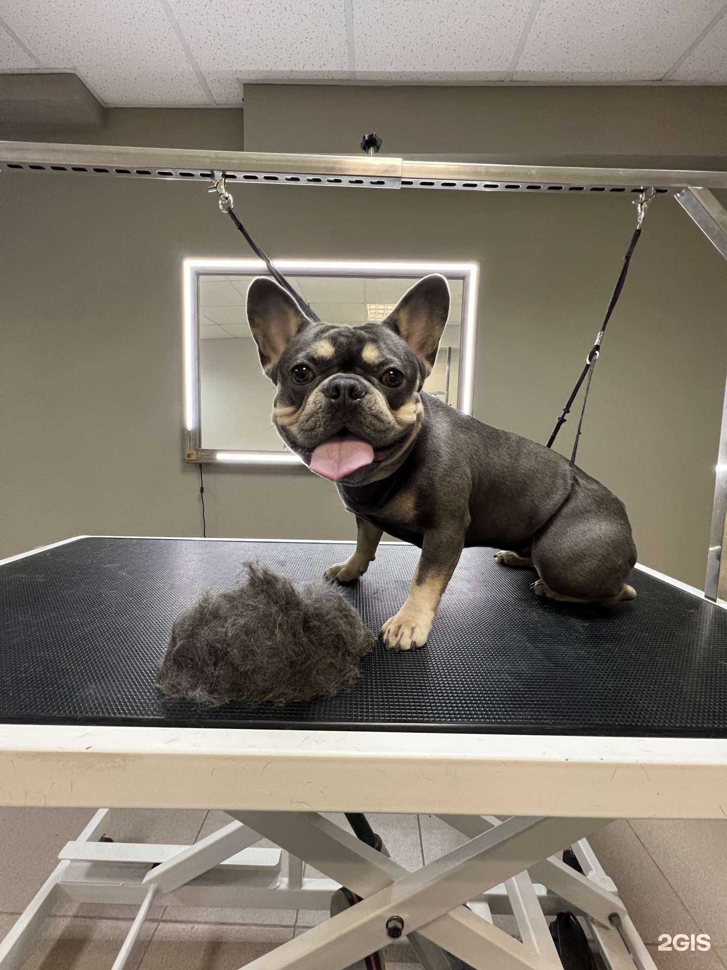 Отзывы на компанию Groom Bar в г. Волгоград c фото