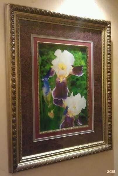 Отзывы на компанию Butterfly в Краснодаре c фото