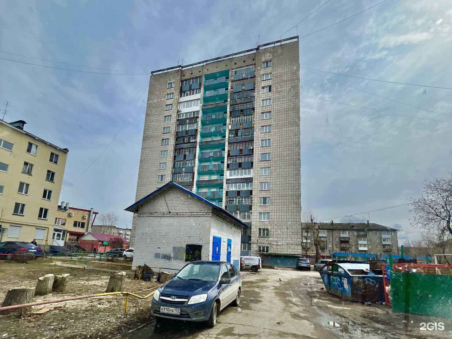 Отзывы на компанию Мой зверь в Перми c фото - фотография 2 из 2